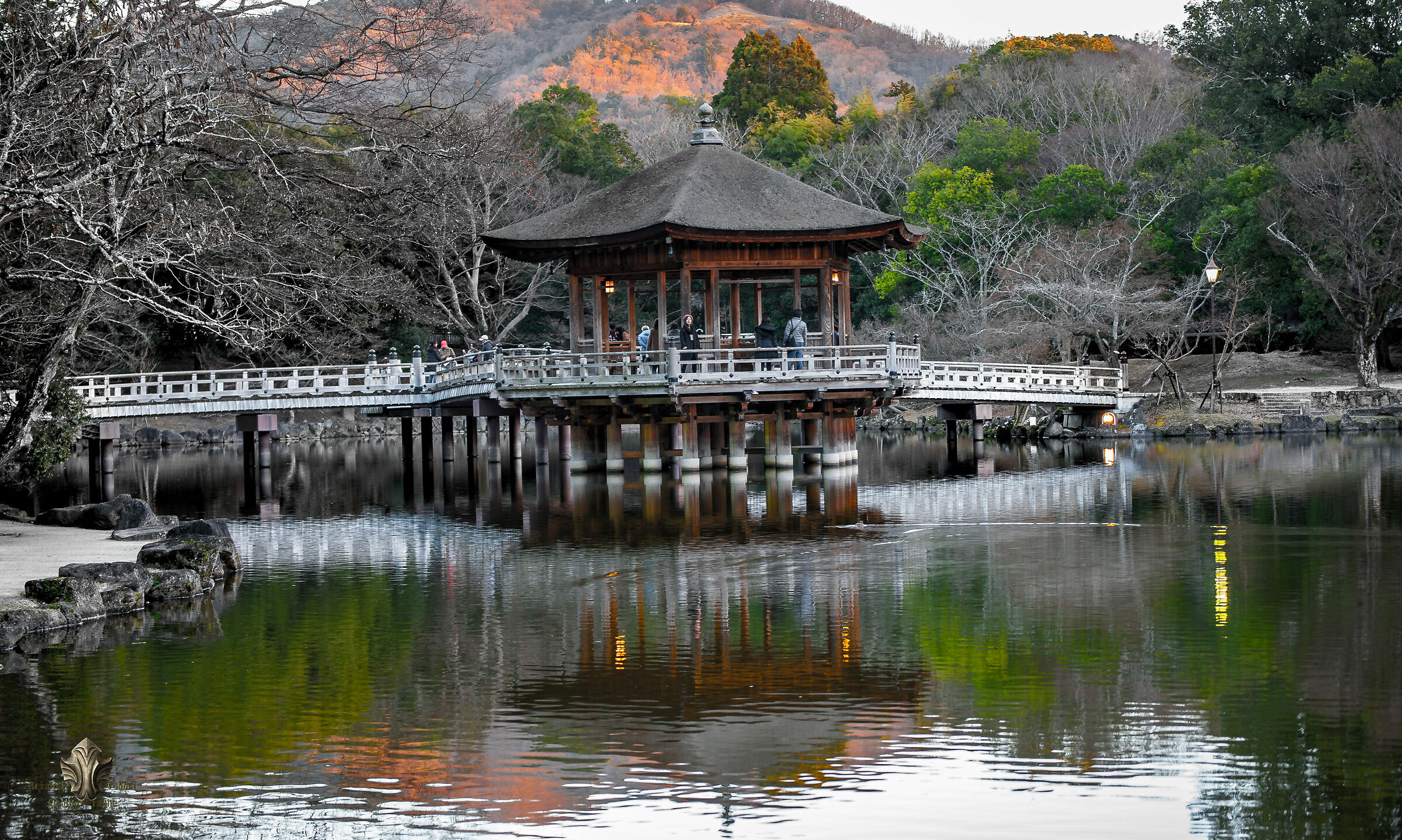 In A Garden in Nara Japan