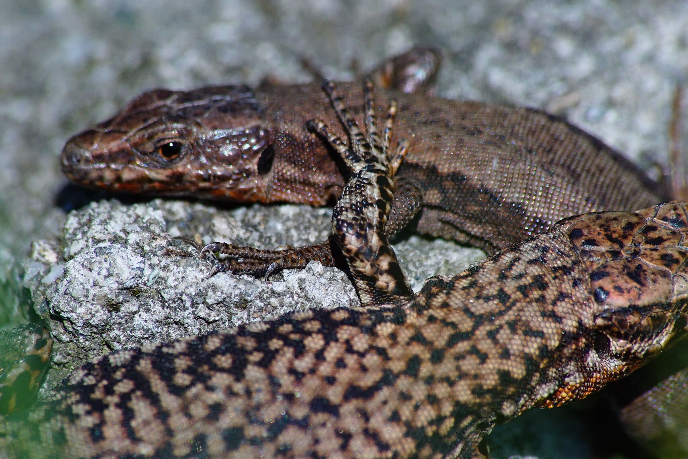 And the distances you ?? :) :)