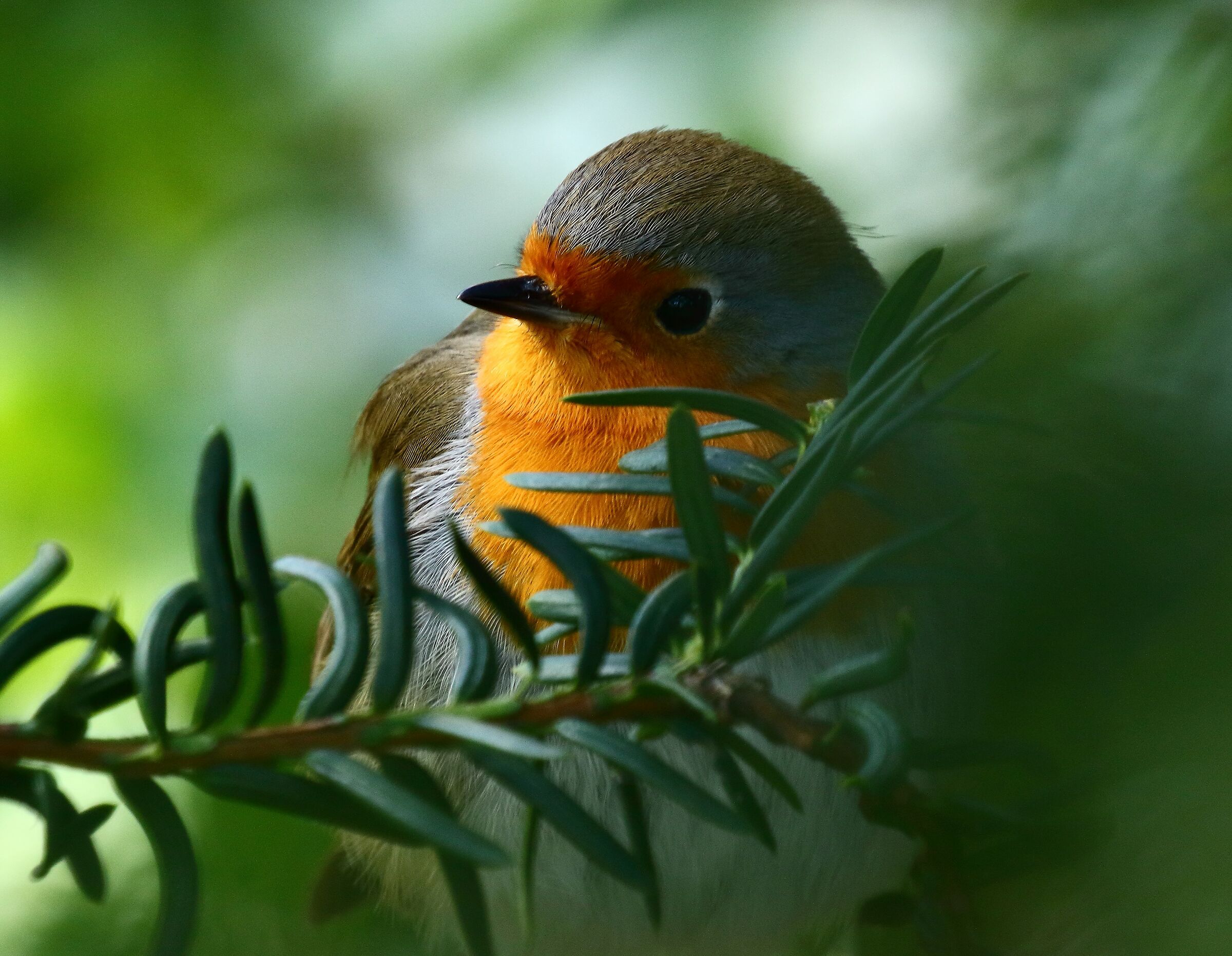 nella grotta smeralda