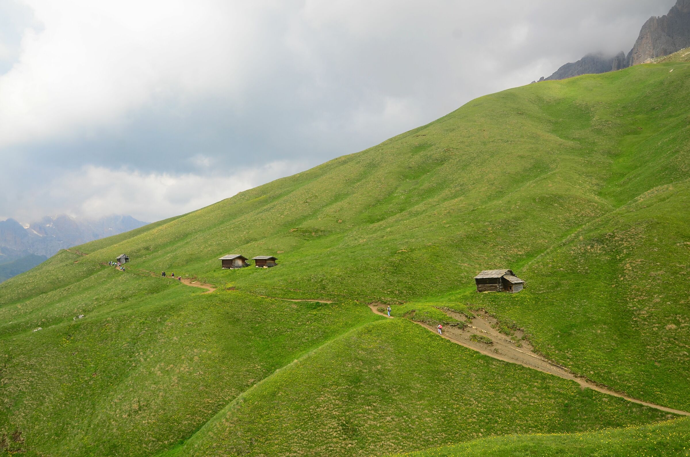 Col Rodella - verso rifugio Pertini