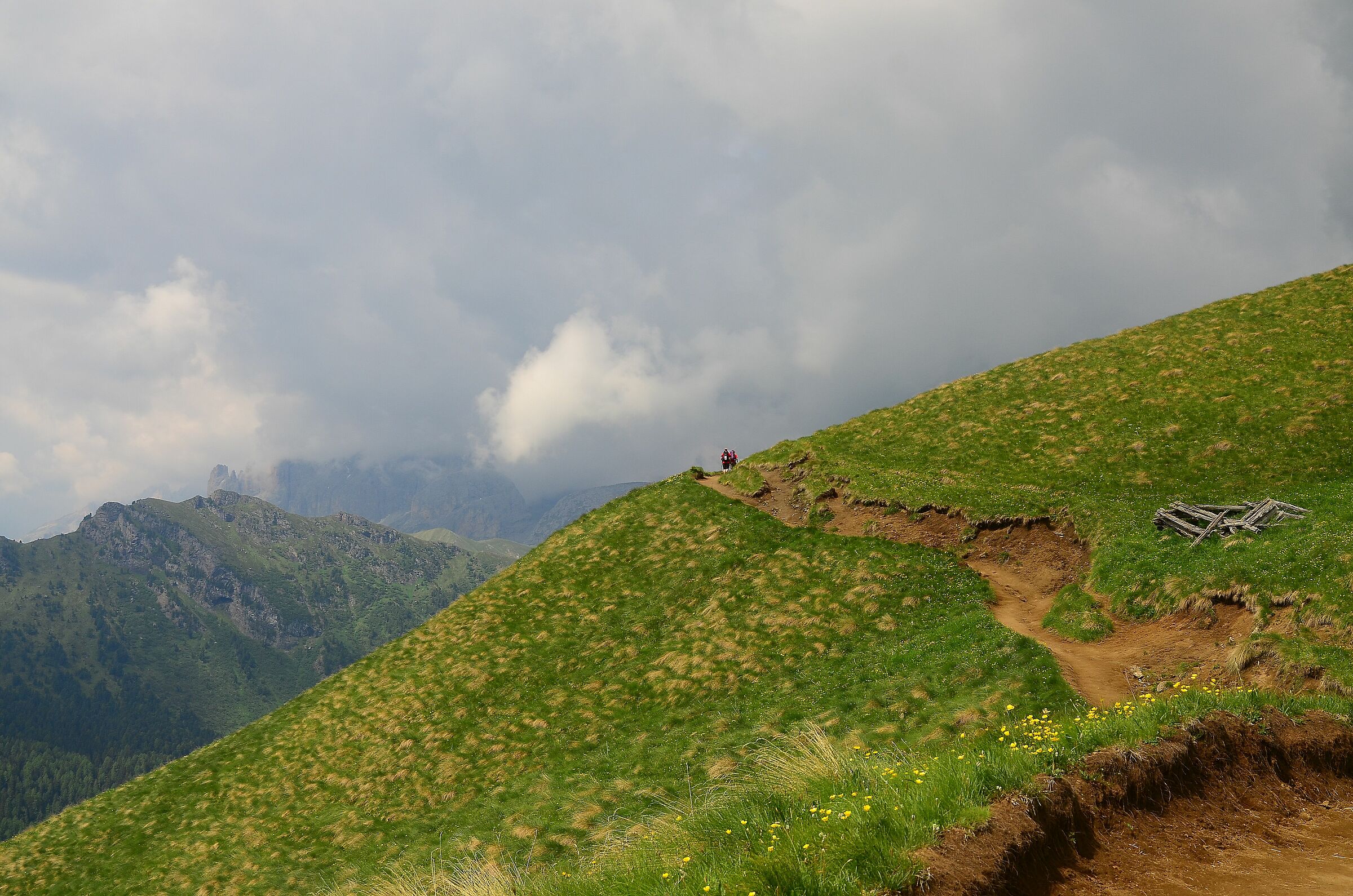 Col Rodella - towards Pertini hut