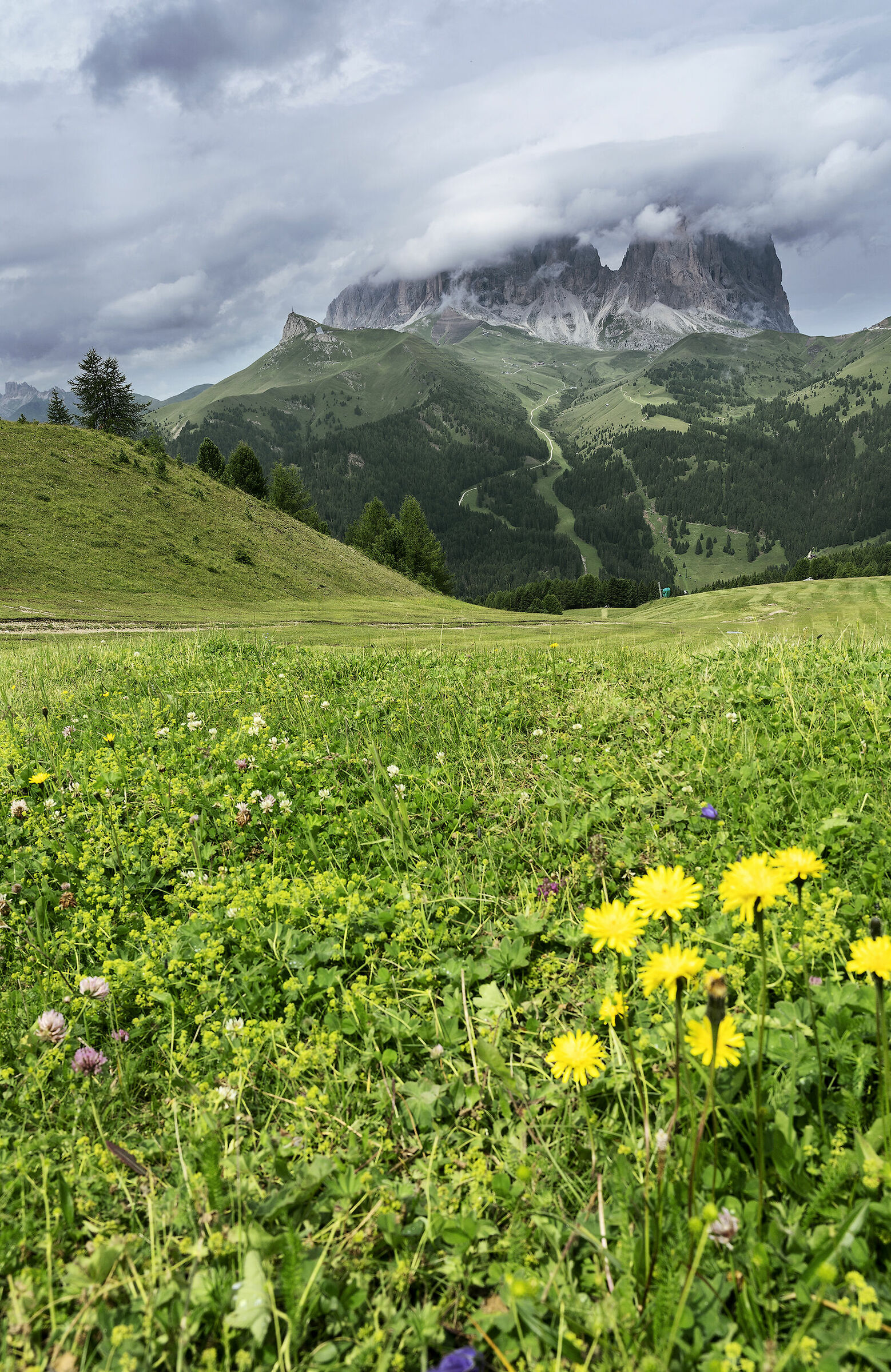 Sguardo verso il Sassolungo