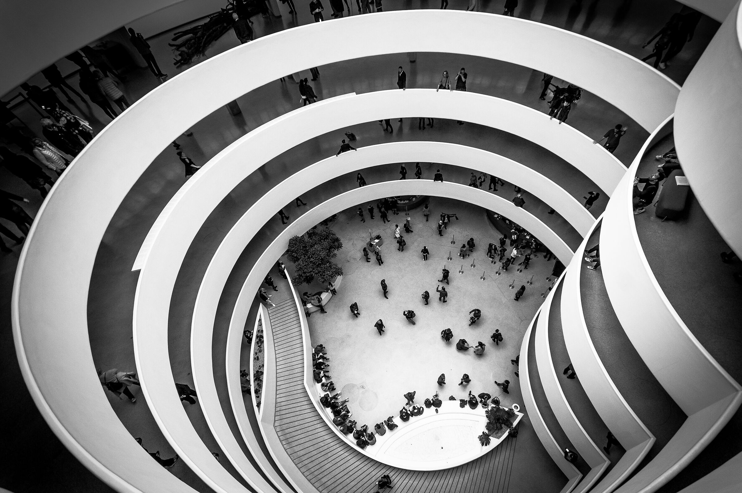 Guggenheim