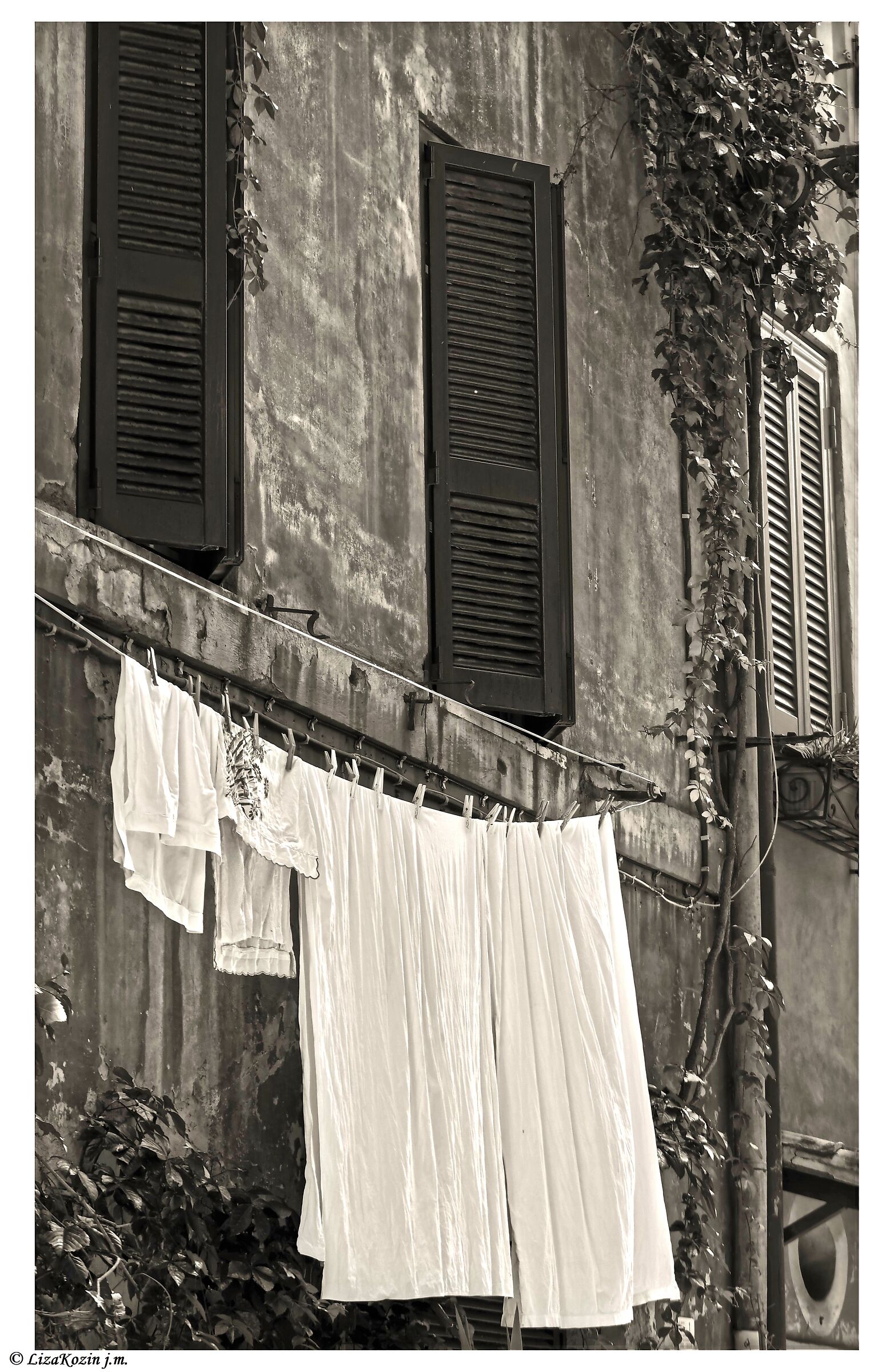 Trastevere. Roma