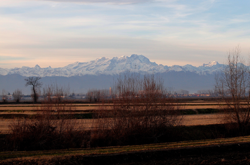 Risaie vercellesi con il Monte Rosa
