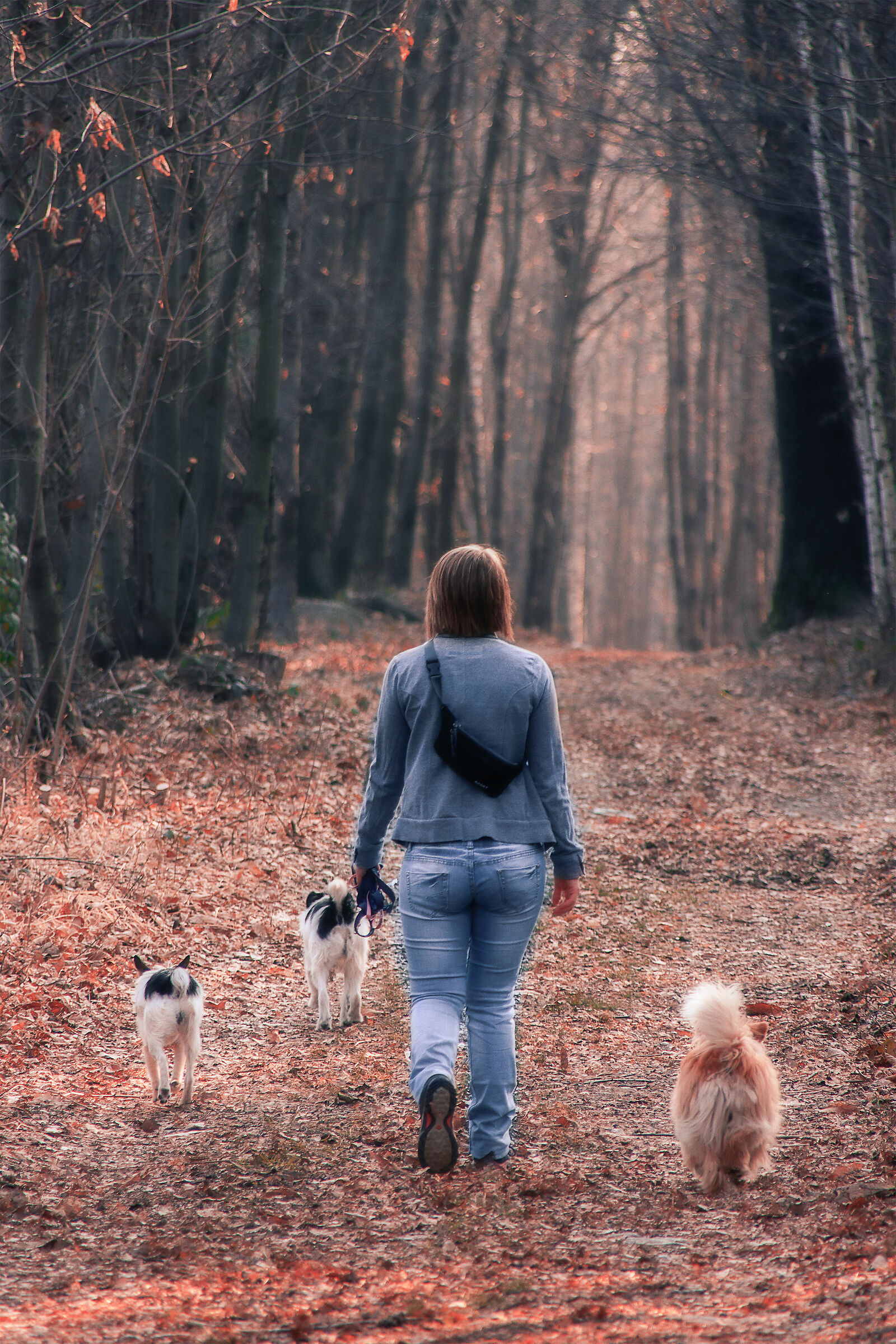 walking