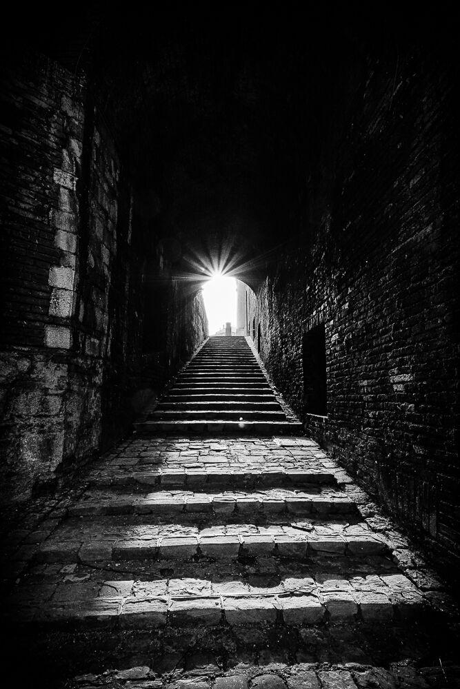 The stairway for light