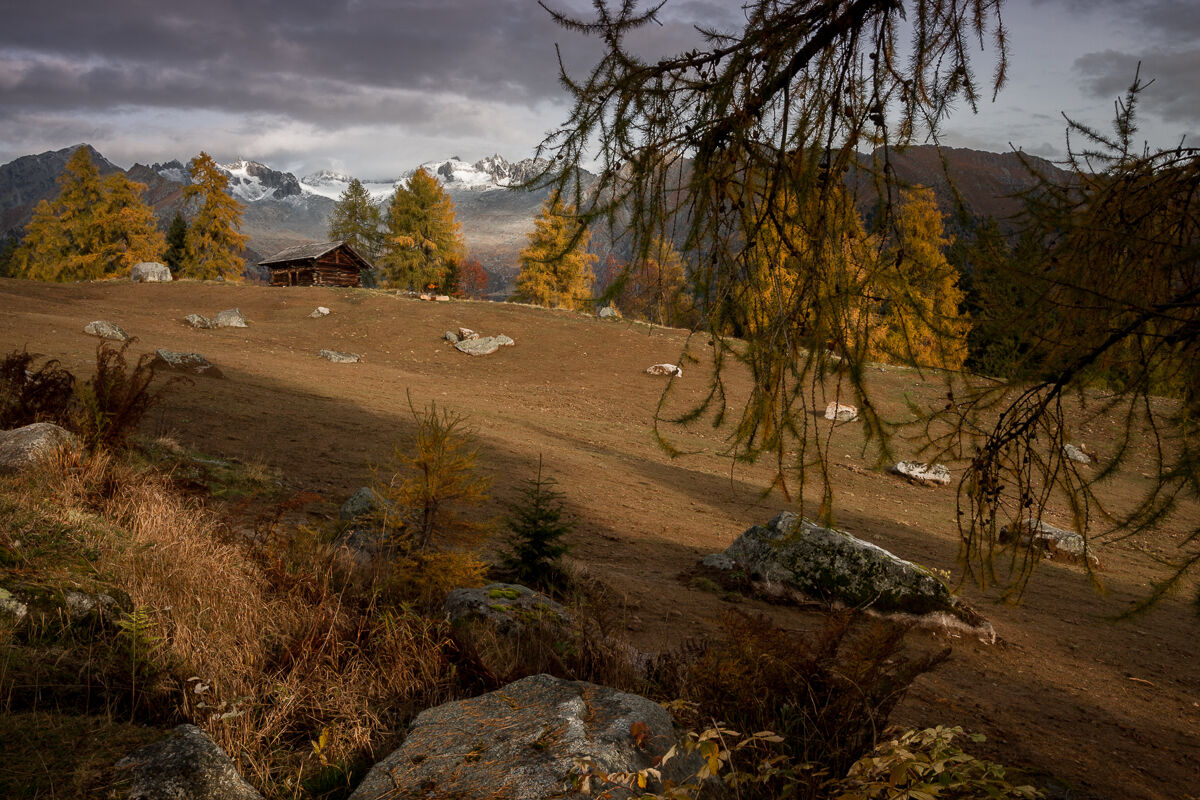 Un'alba speciale ...