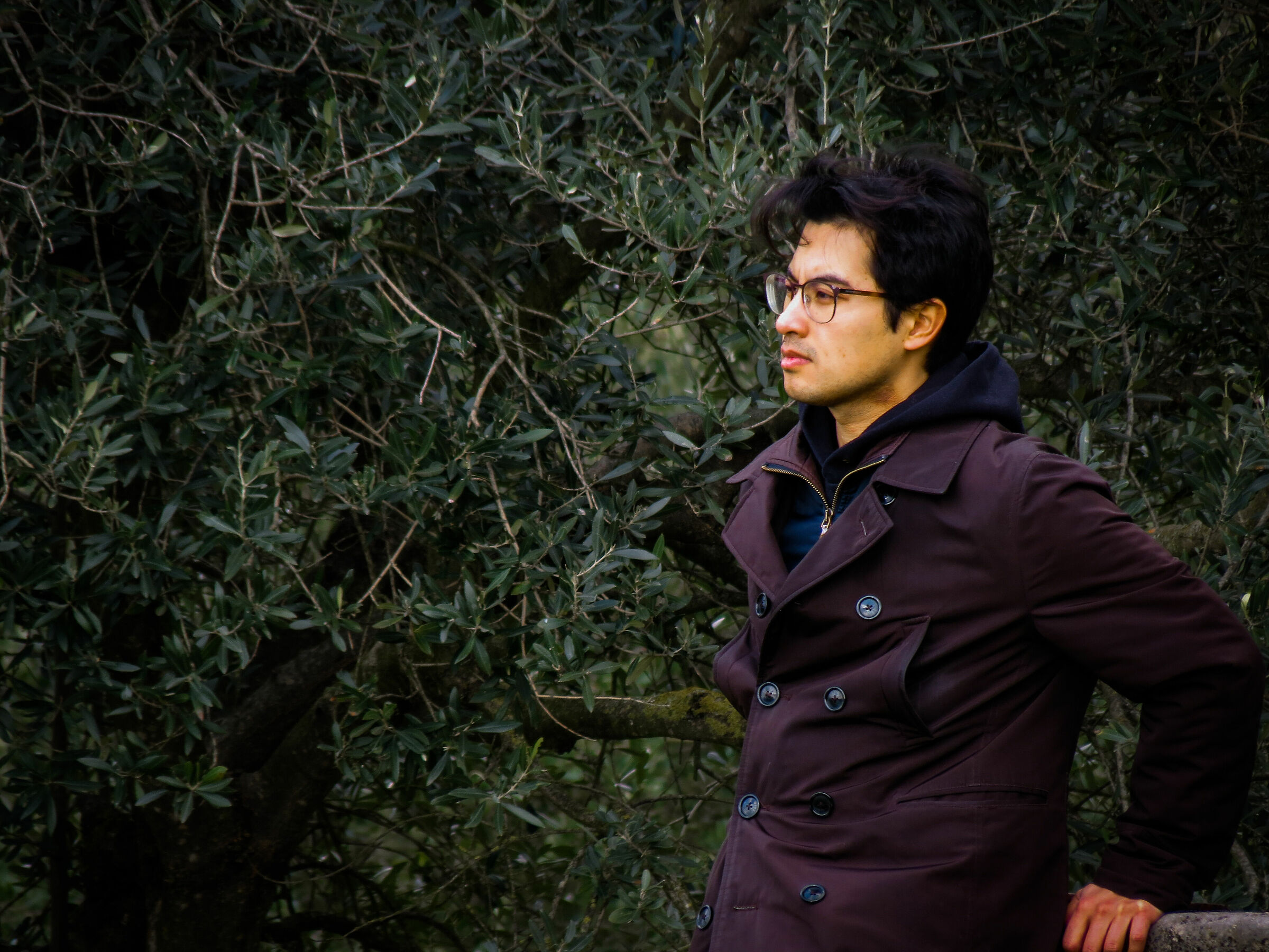 Un soleggiato pomeriggio