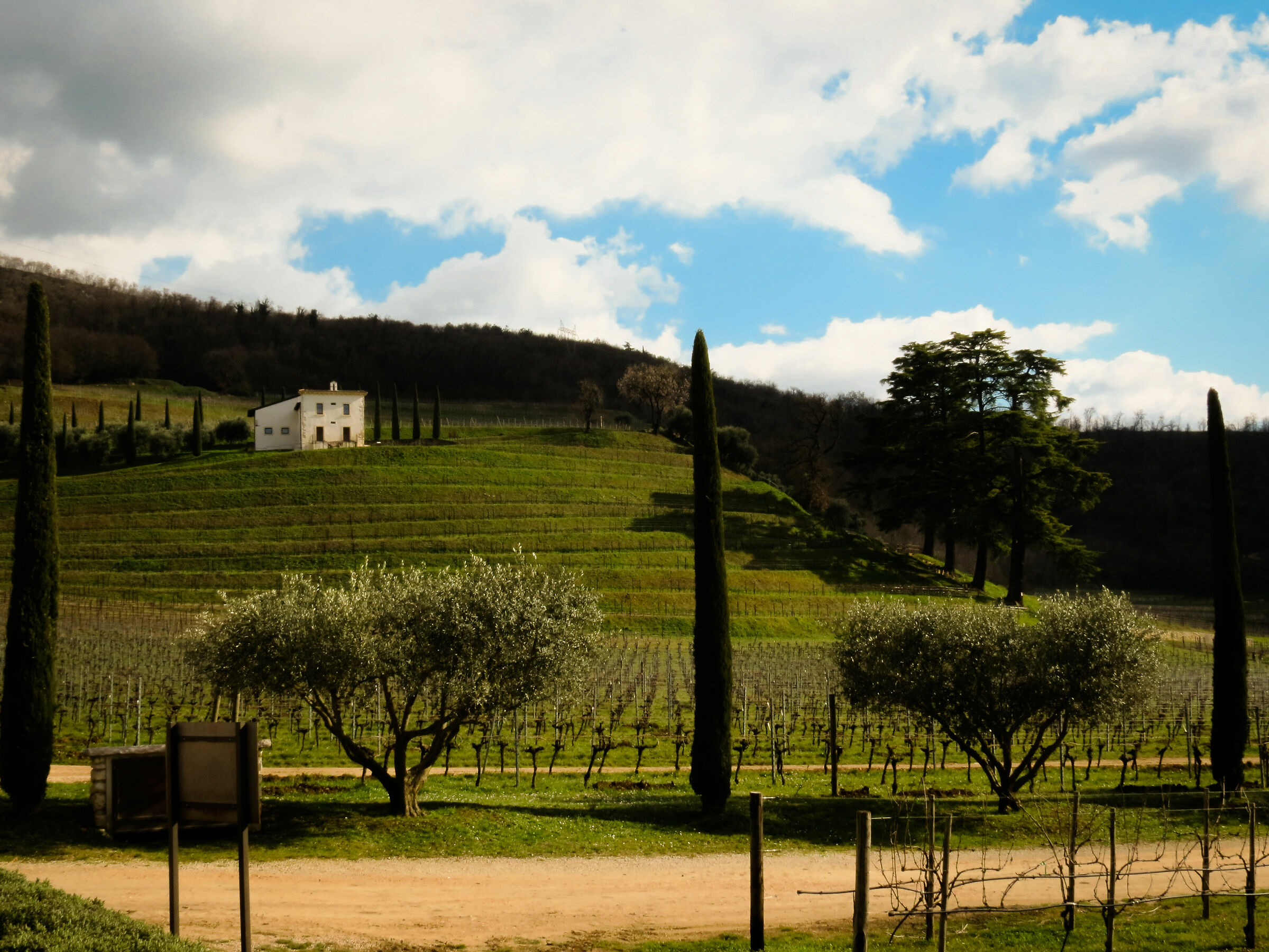 Un soleggiato pomeriggio