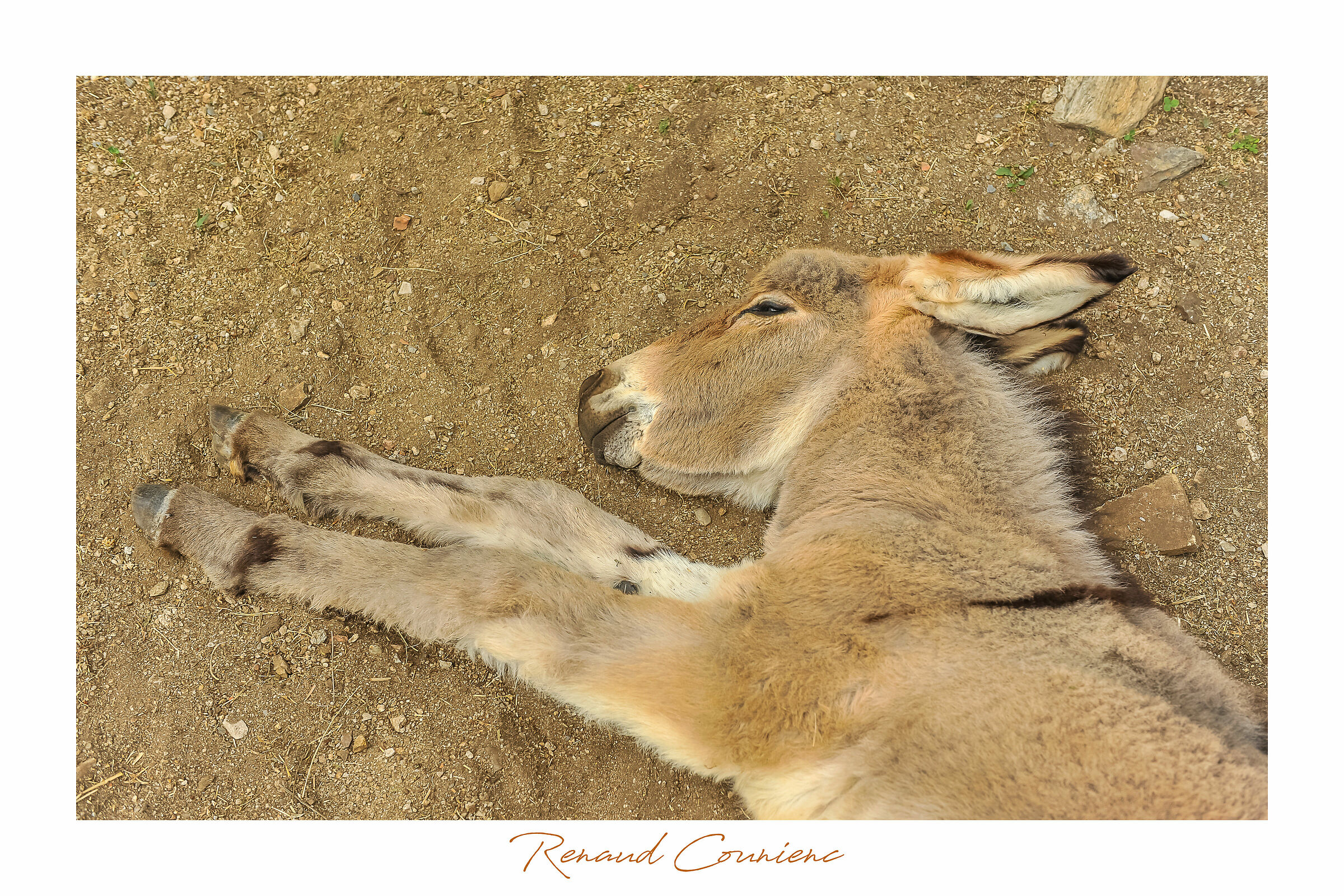 È faticoso crescere!