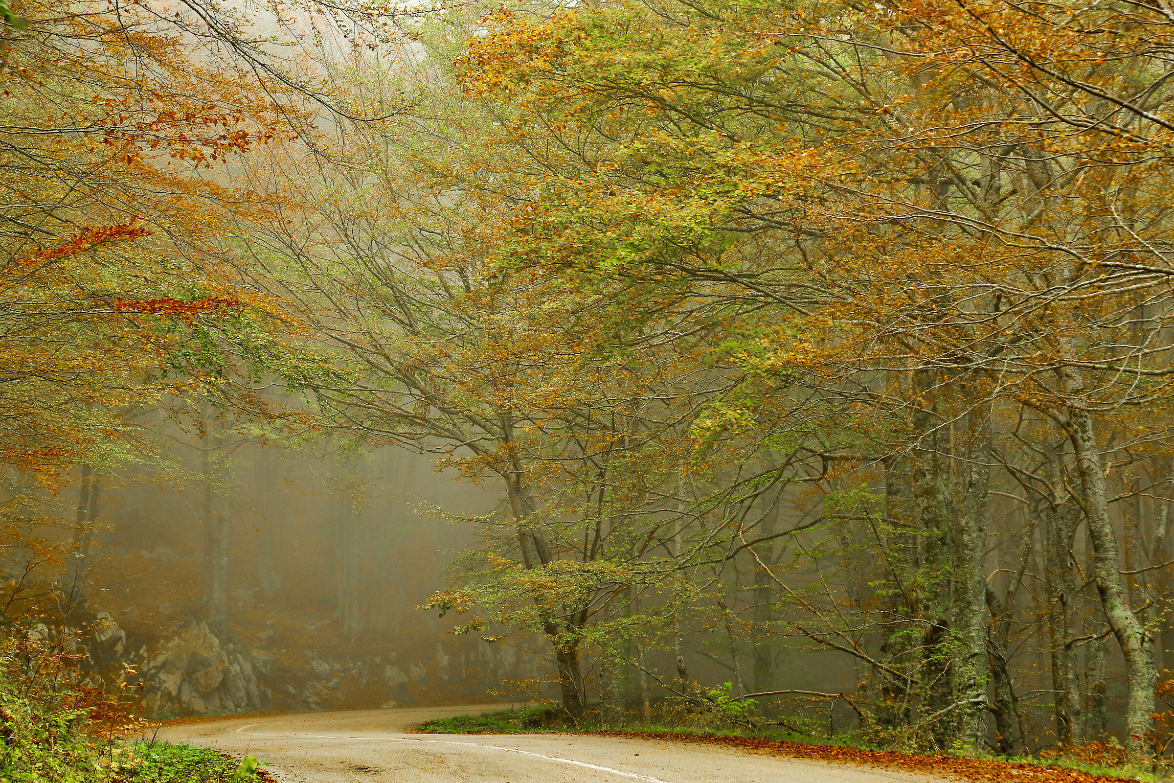 Autunno