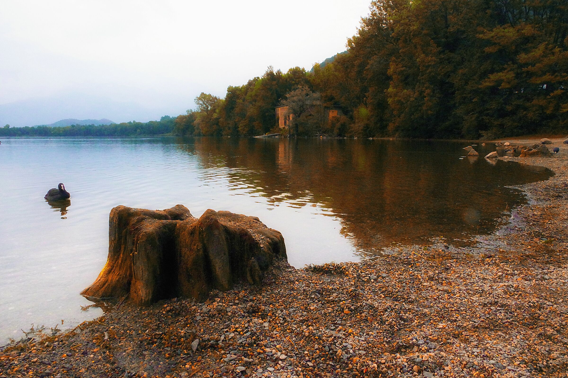 Il lago piccolo di Avigliana