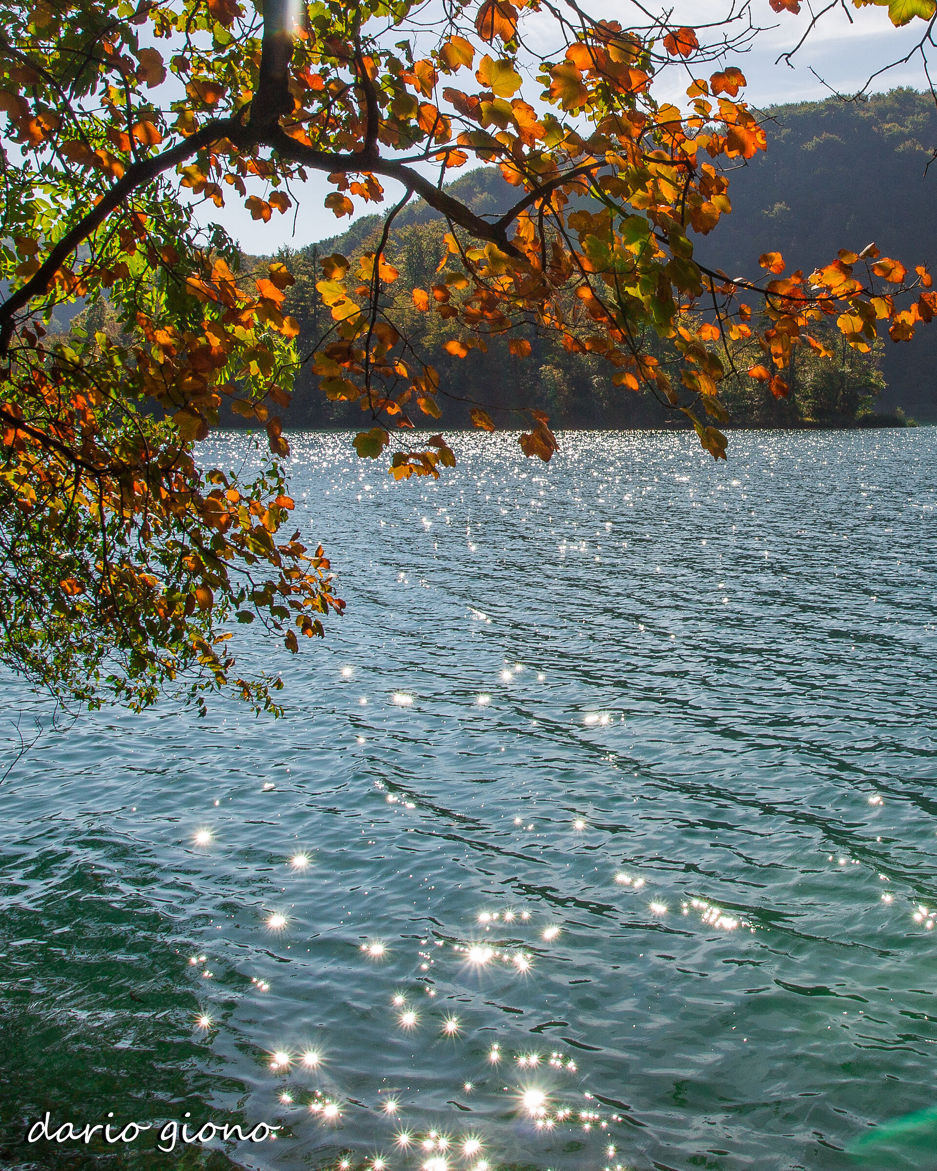 Plitvica