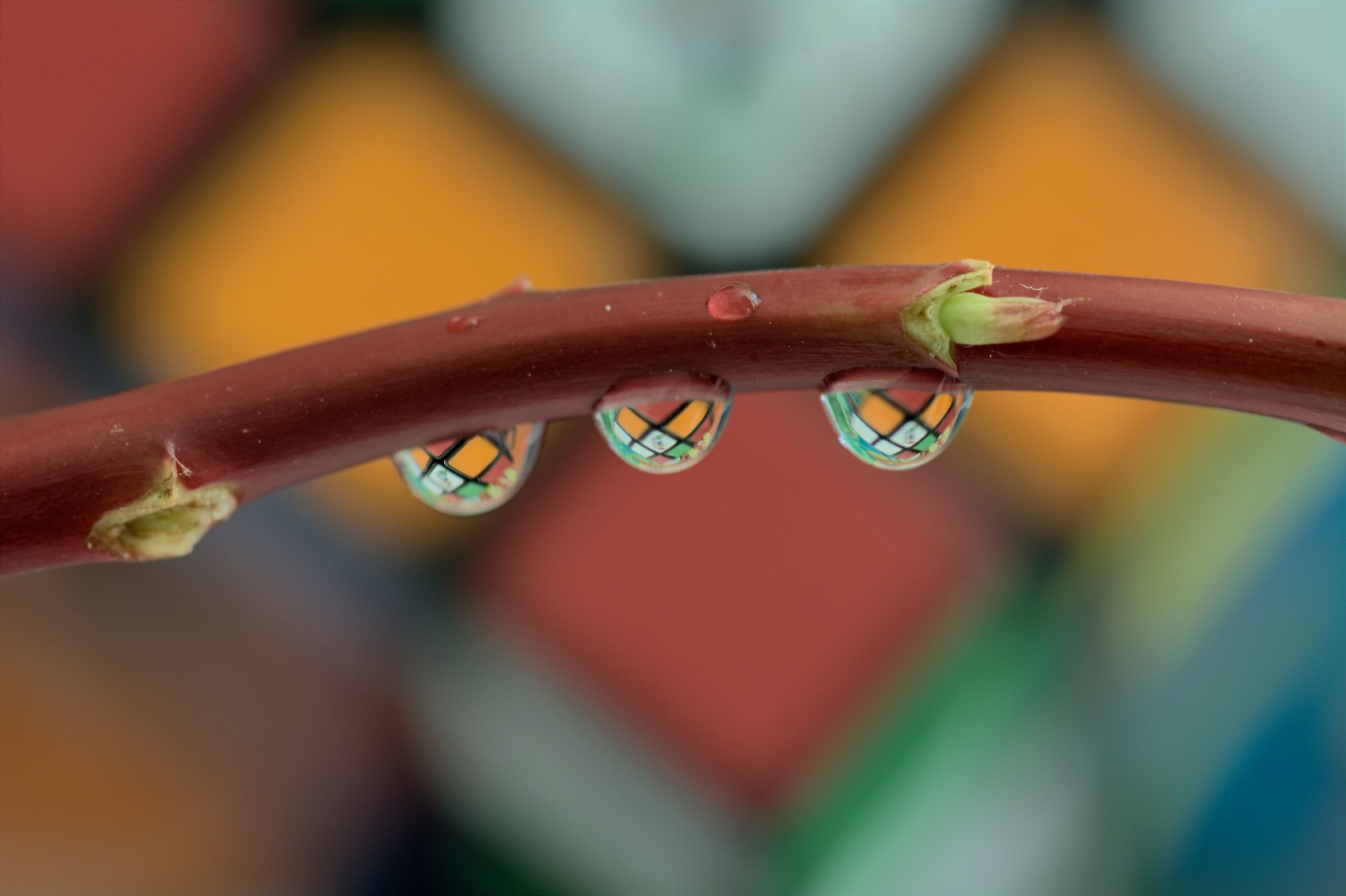 a little bit of color...