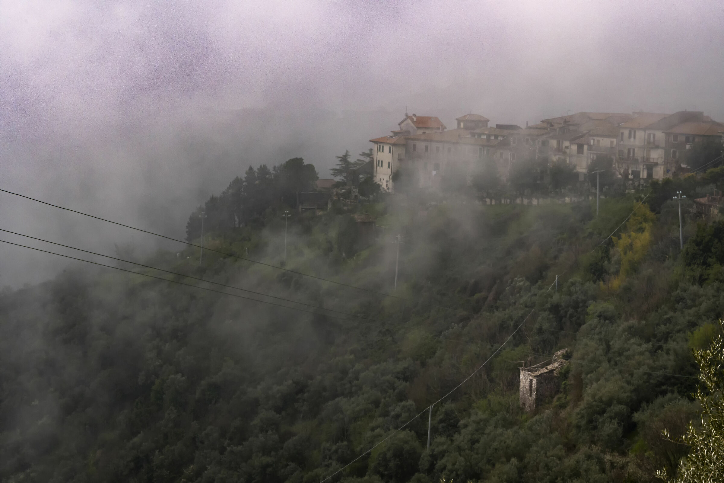 Nebbia in collina 2