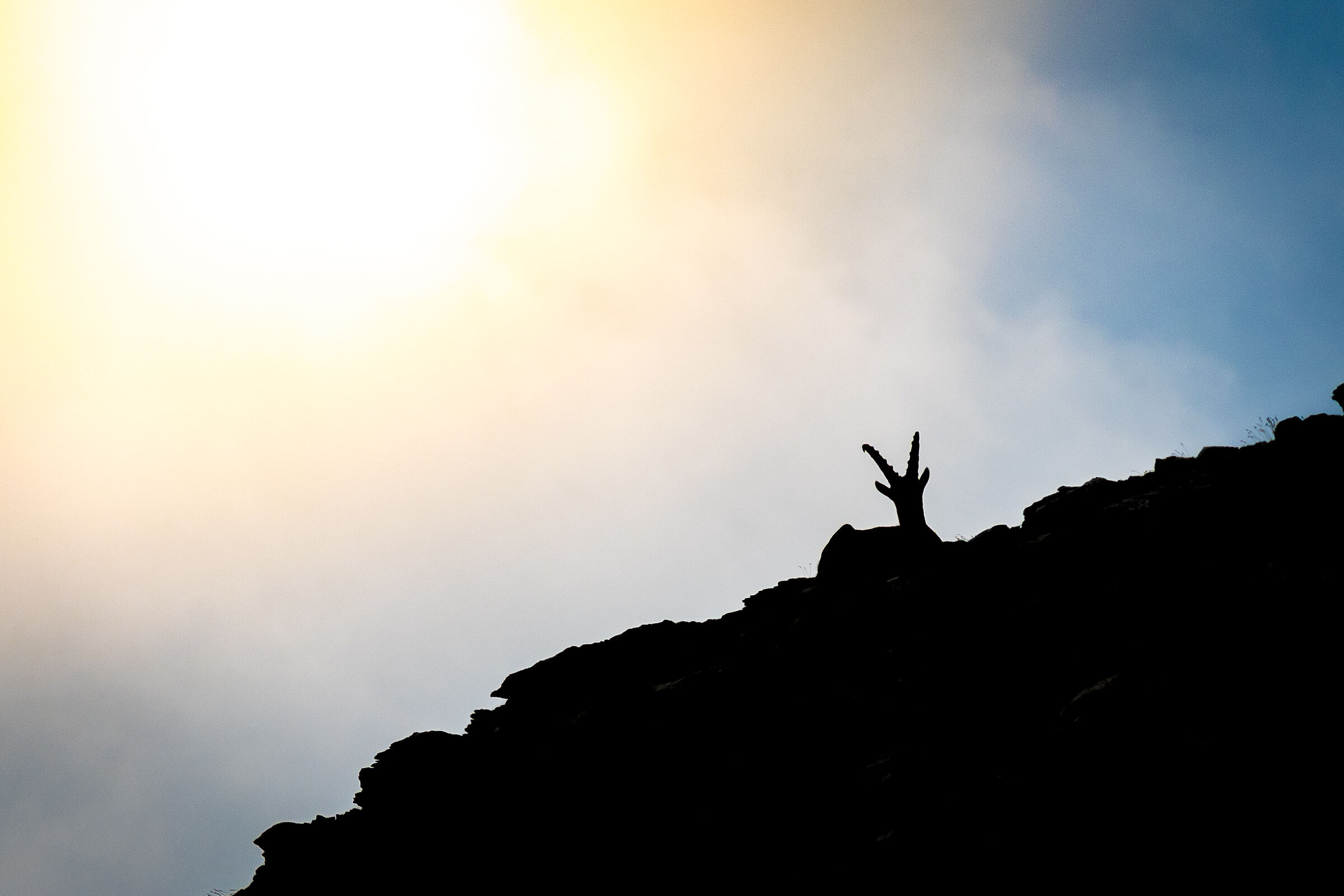 Io veglio sulle vostre valli