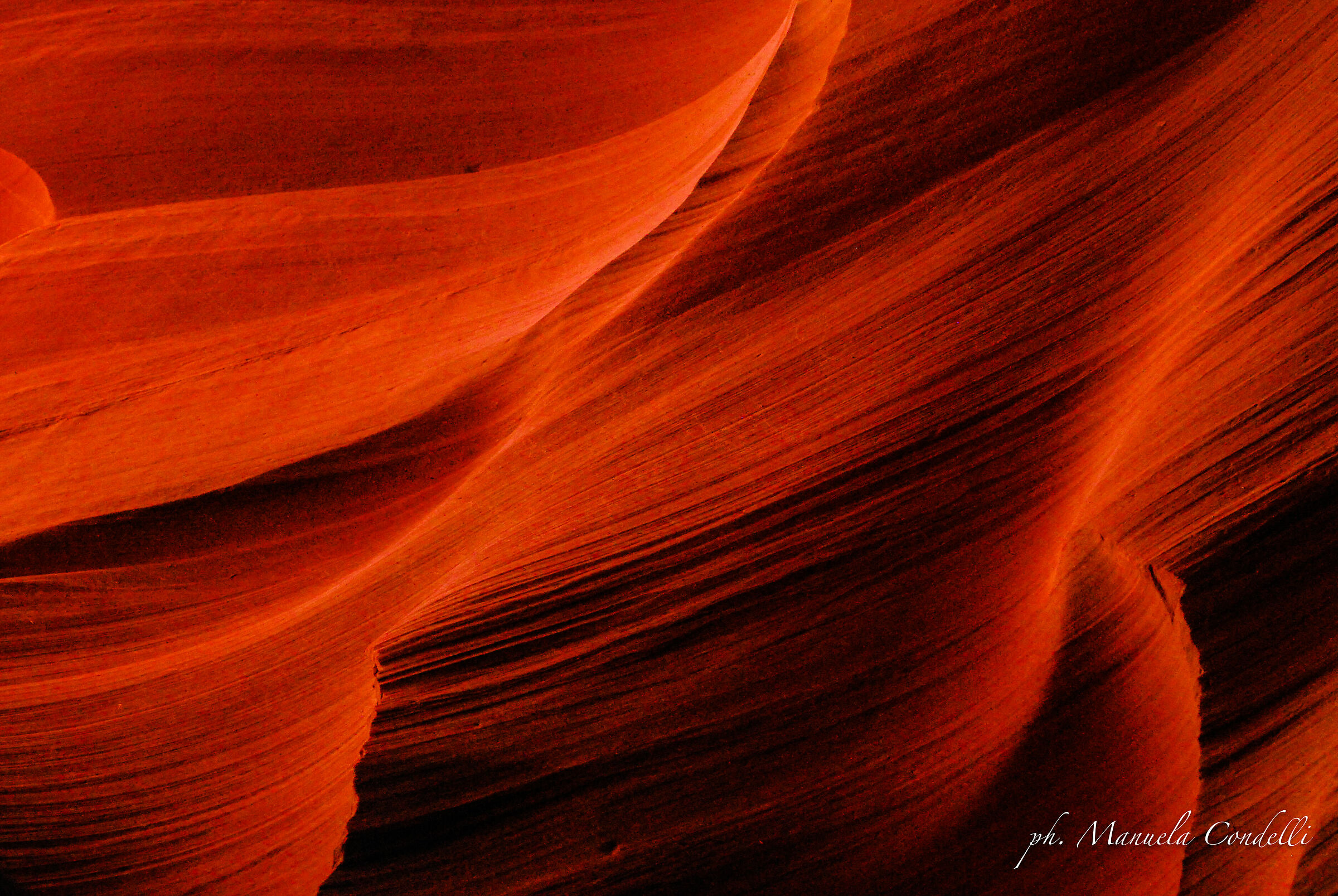 Antelope fascio rosso