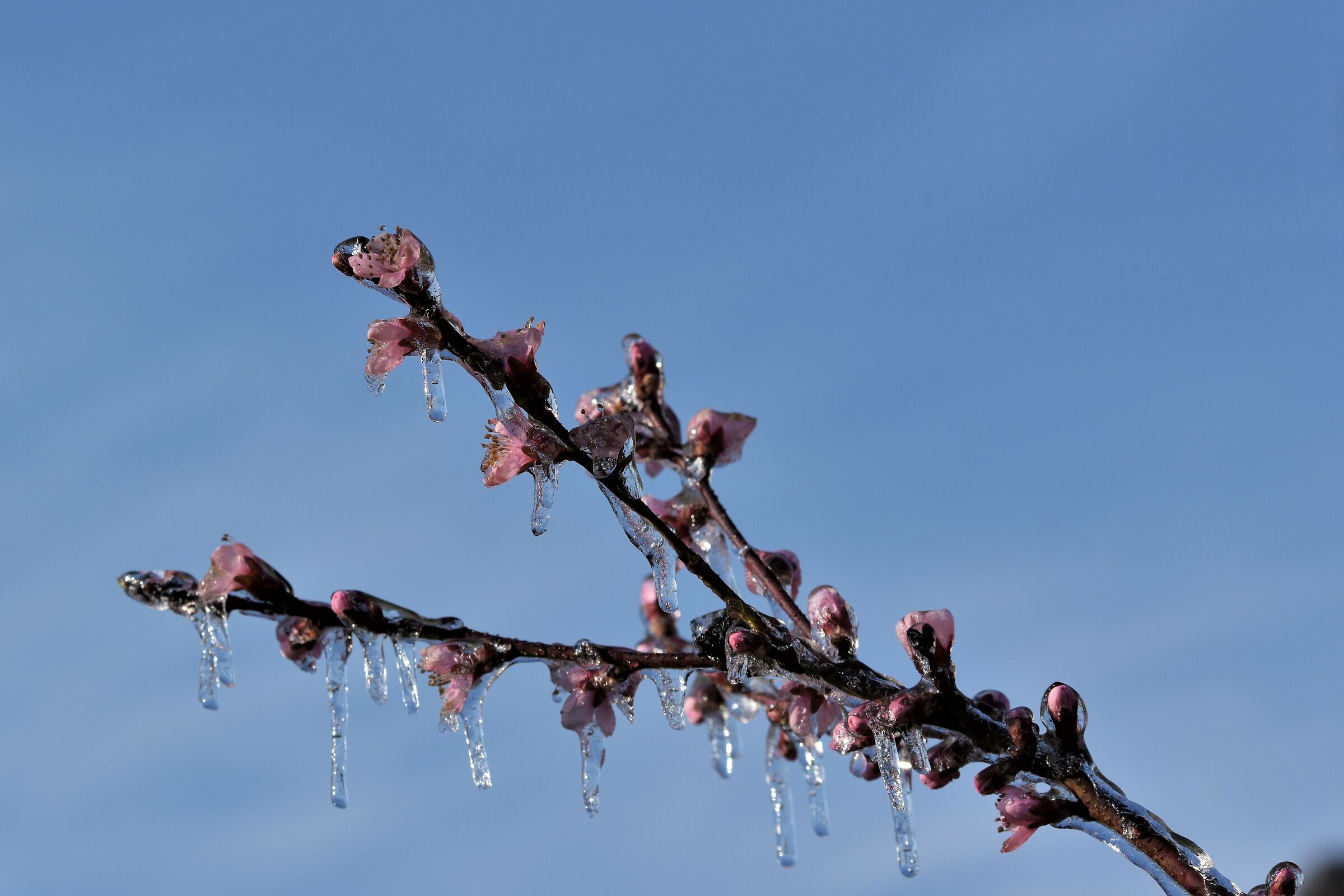 Primavera da brividio 2