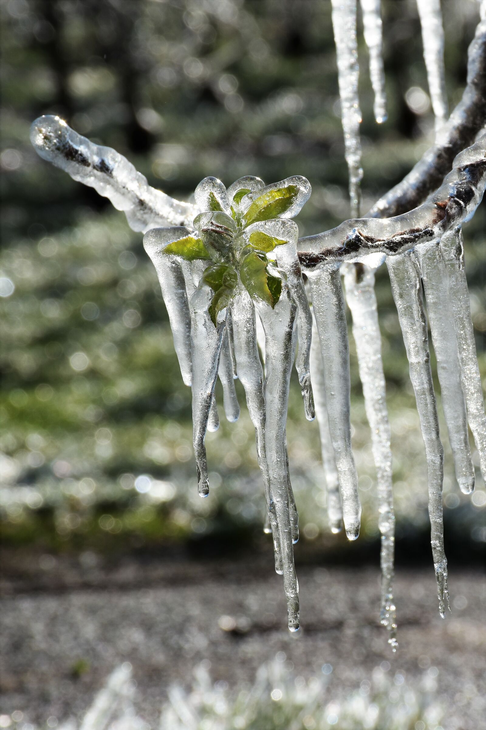 Primavera da brividio 2