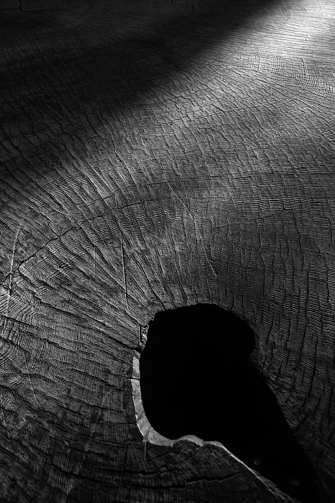 Sequoia Section -- Sequoia NP, CA