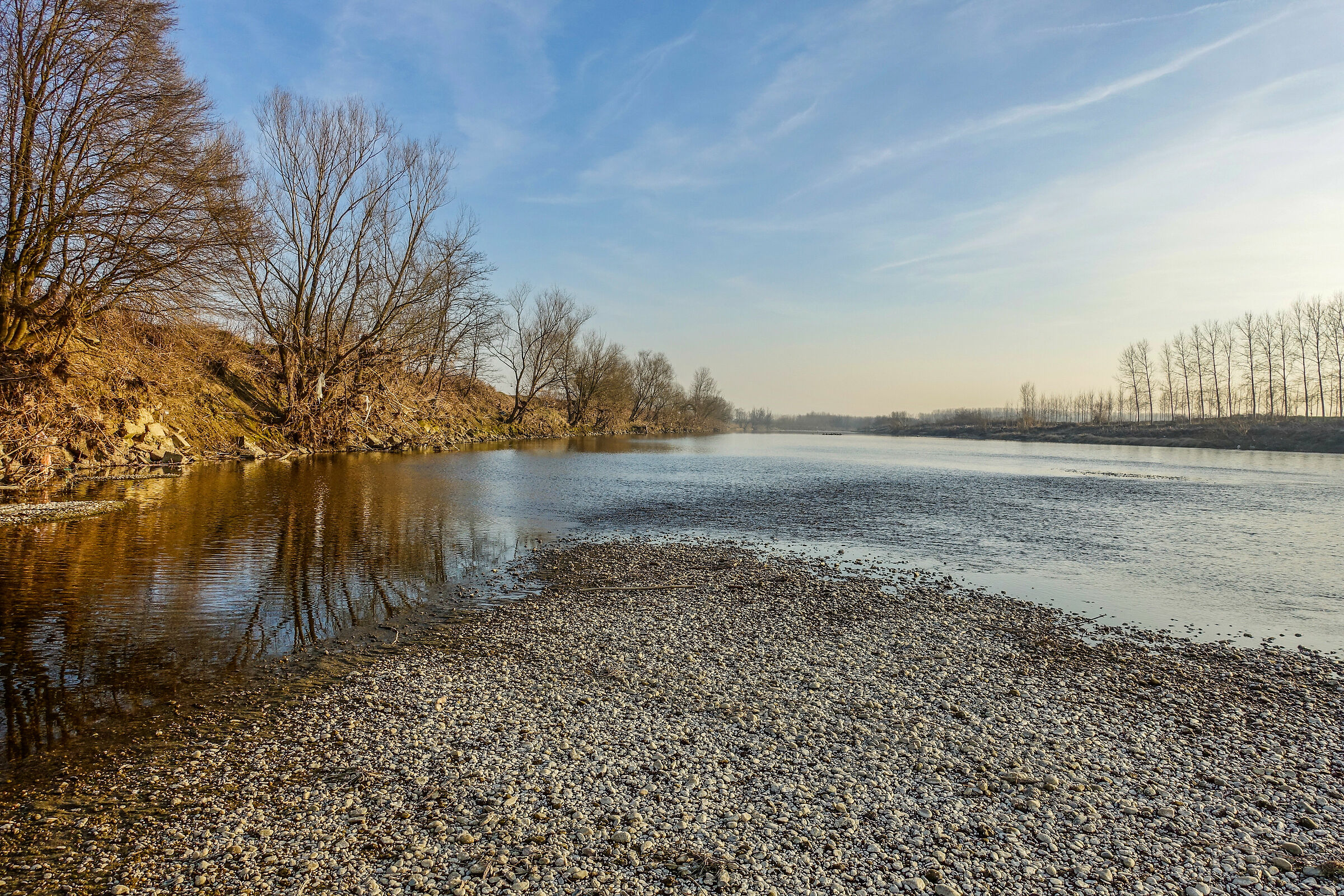 The almost dry bed of Sesia.