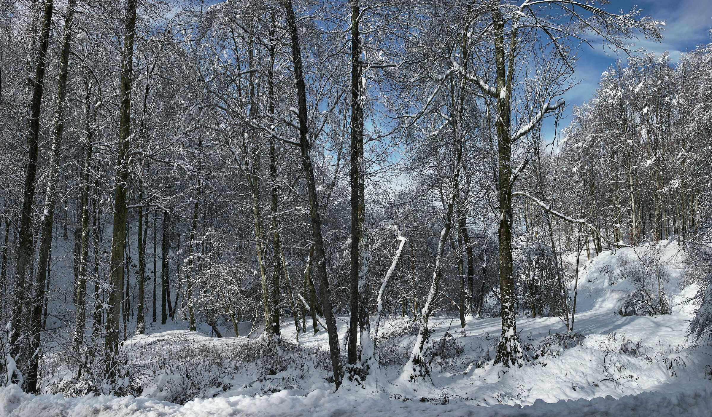 Neve sugli Ontani 2017 2020