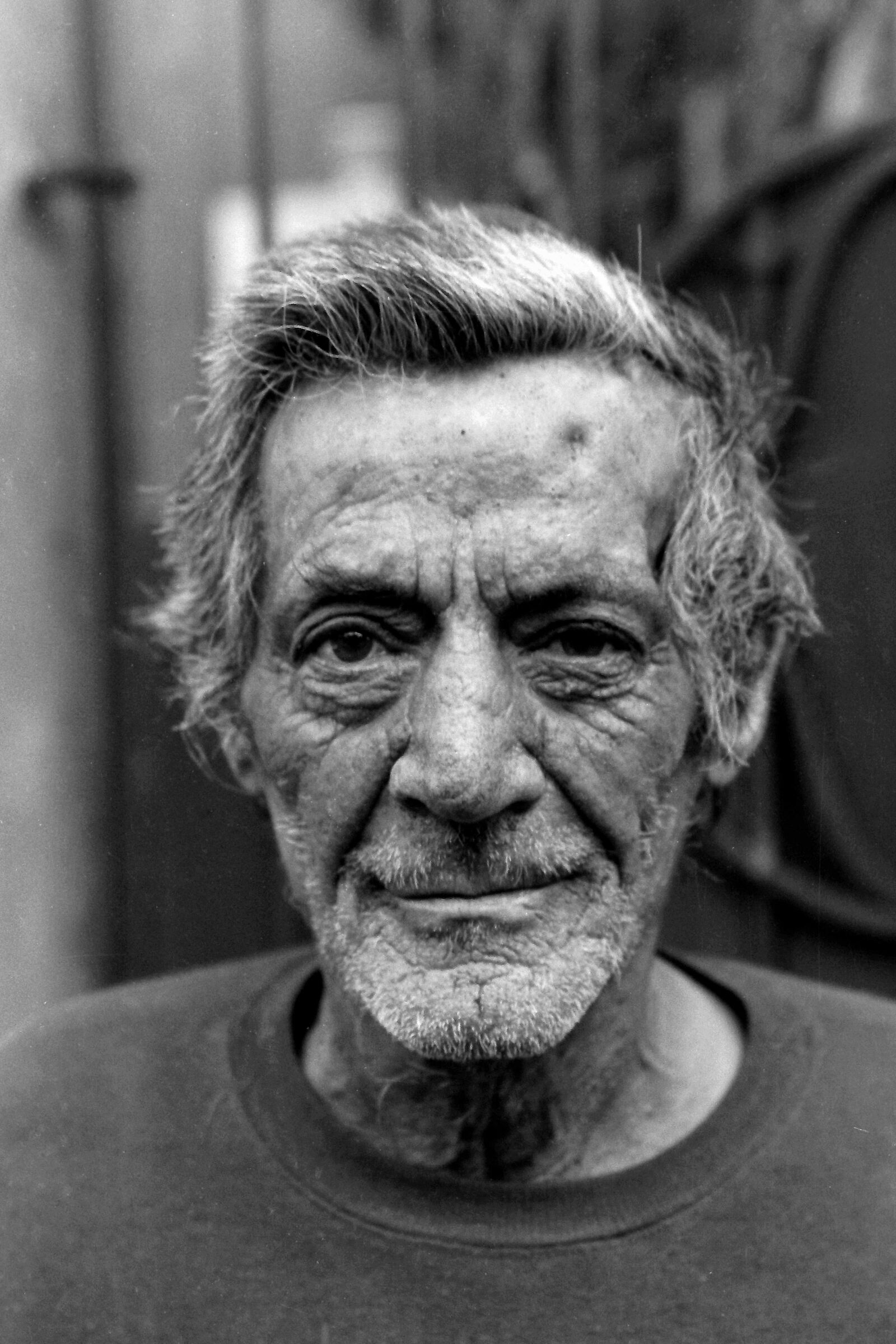 the night of s.lorenzo