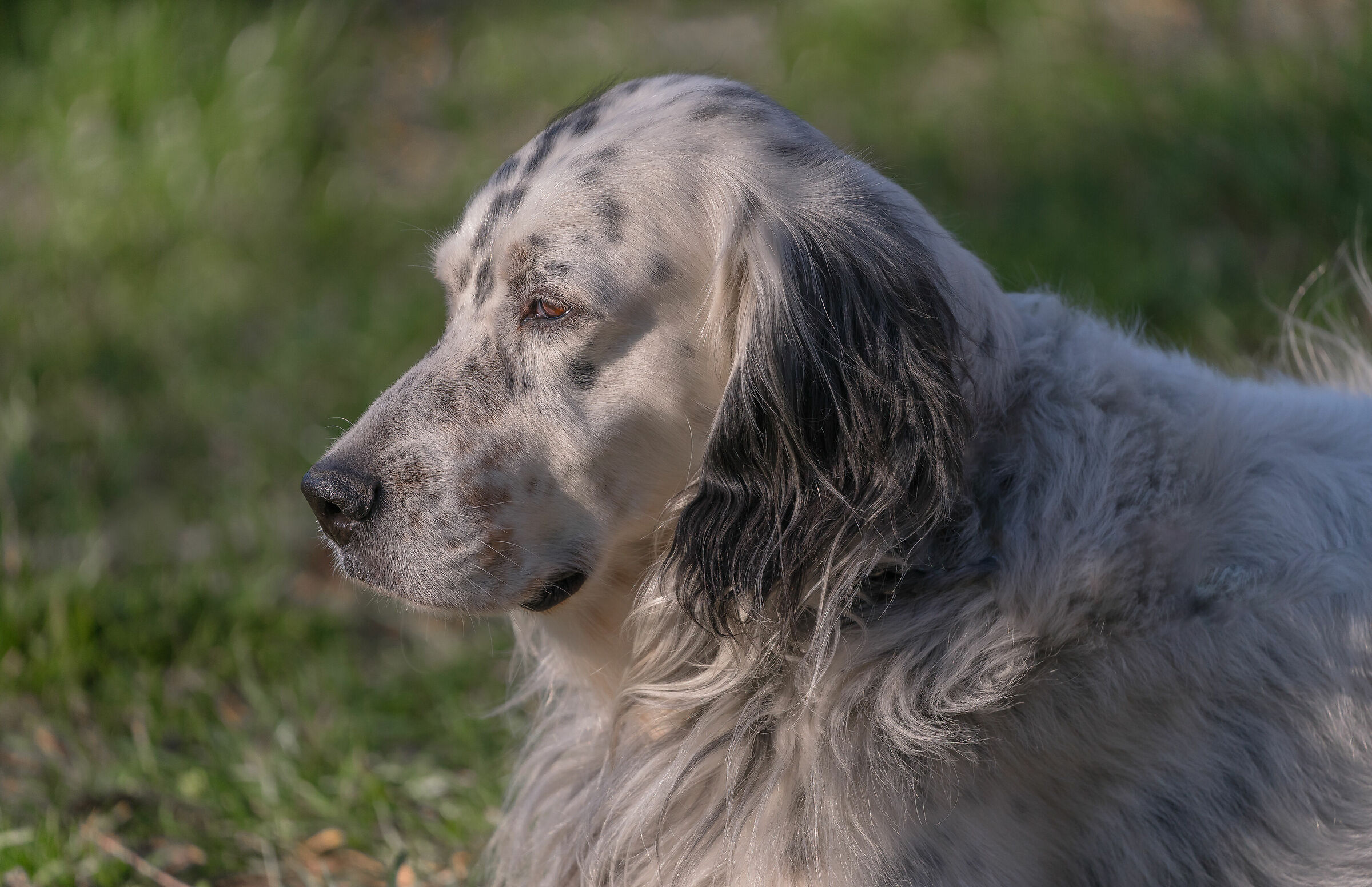 In the light of a warm sun......