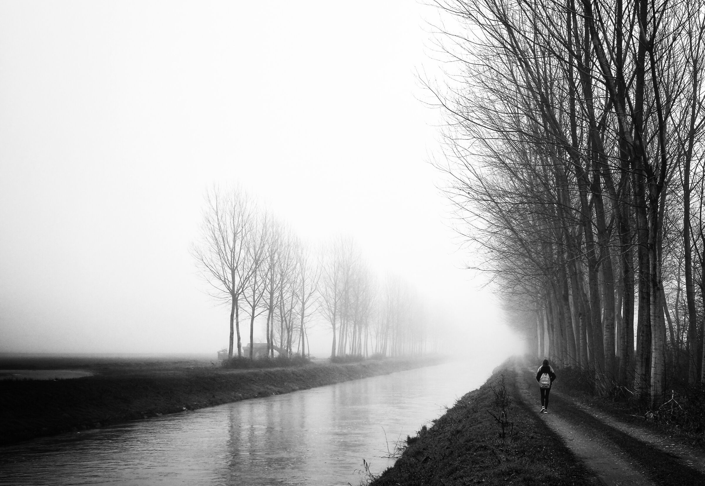 La lunga strada verso casa