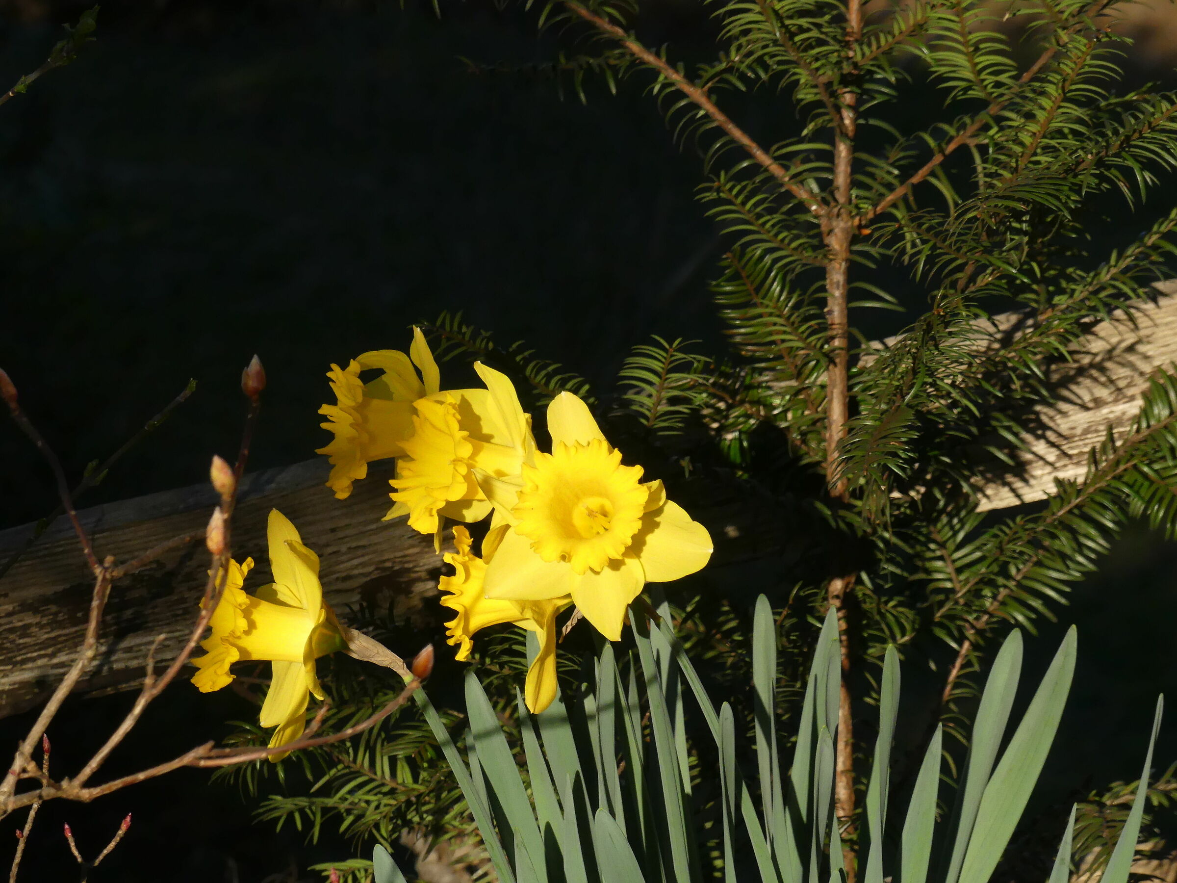 Untitled Photo