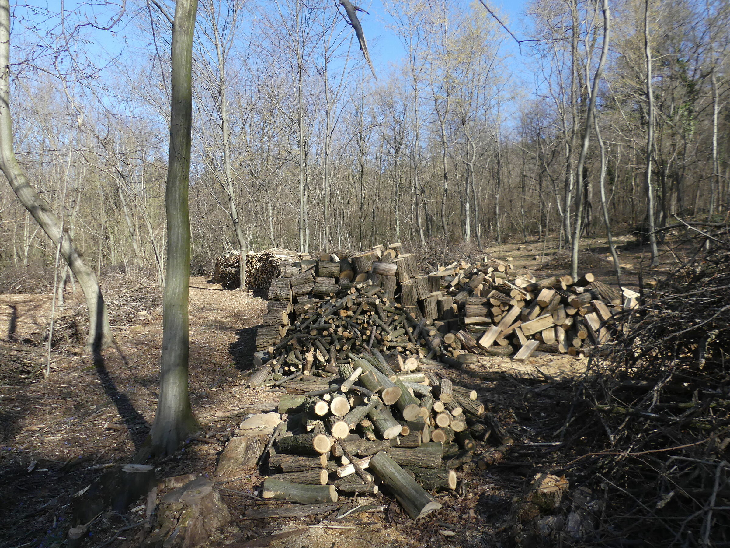 Untitled Photo