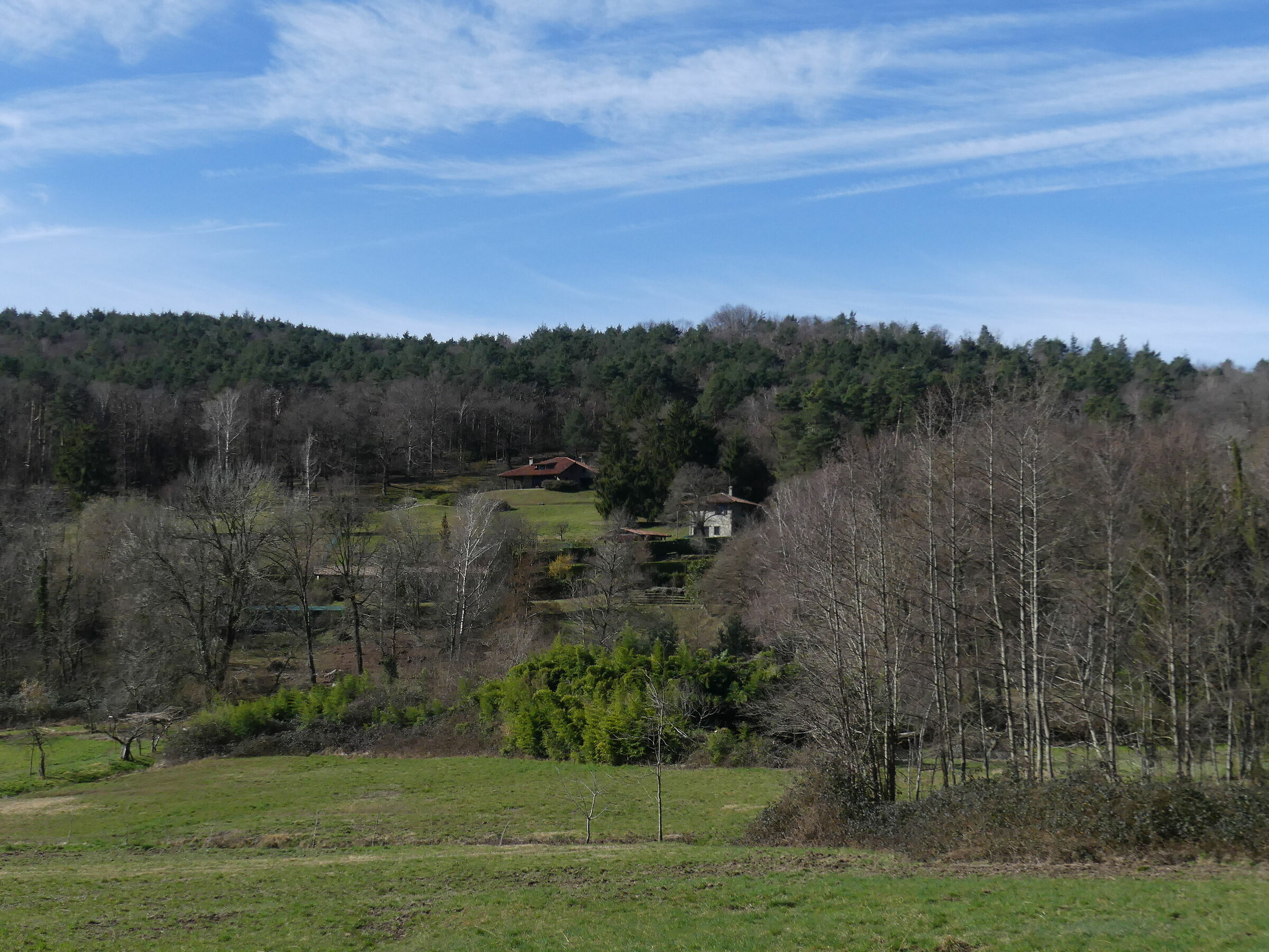 Untitled Photo