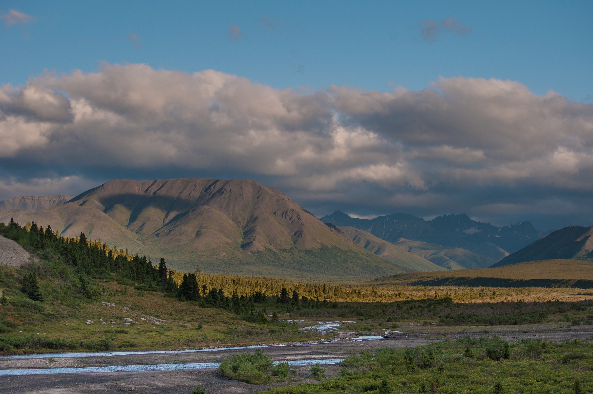 Denali National Park