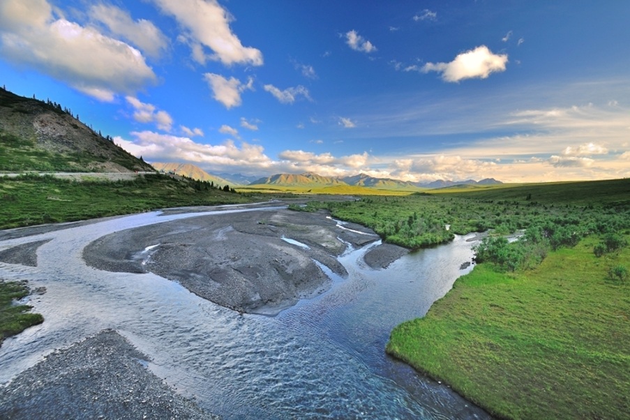 Denali National Park - Savage River