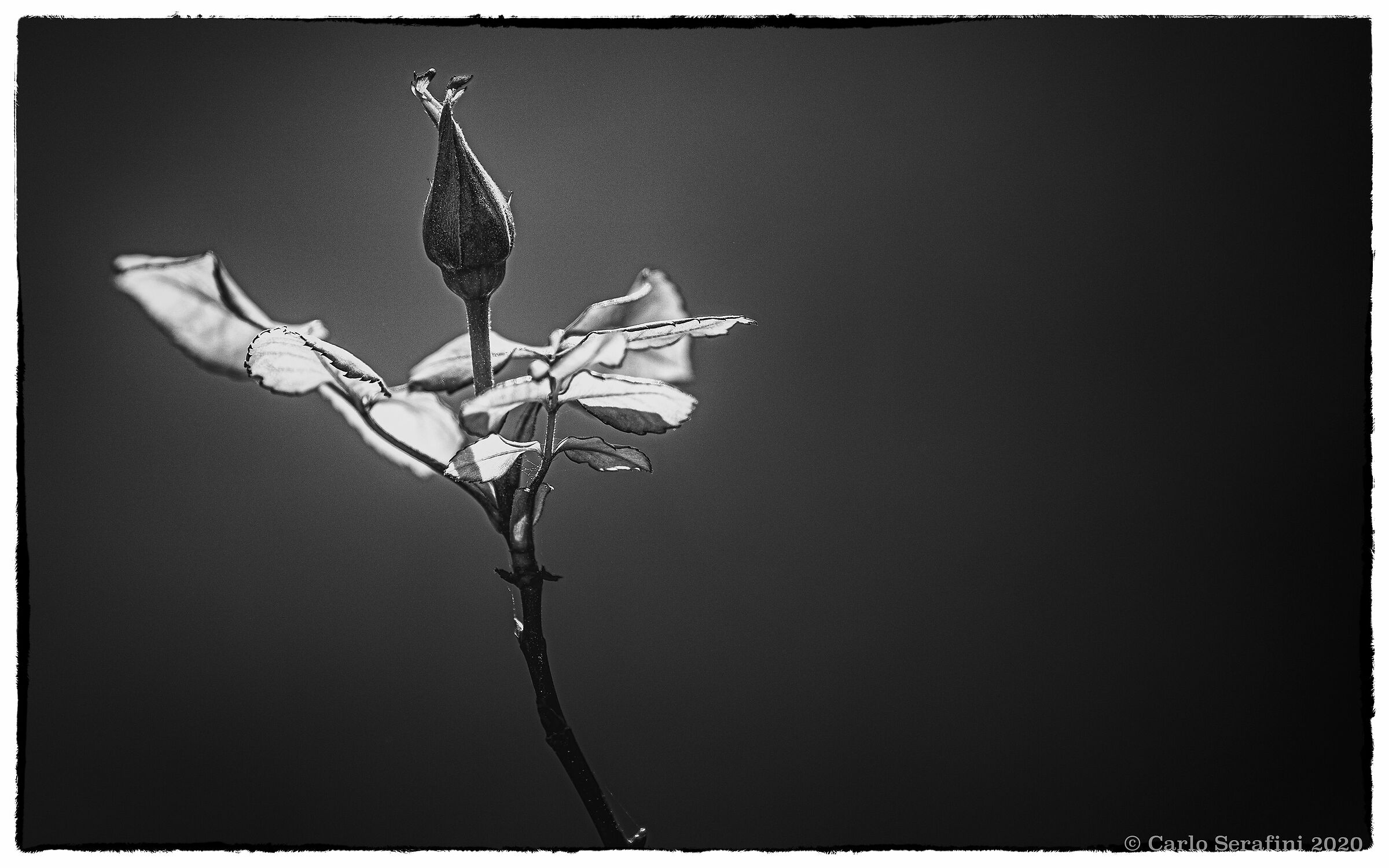 Untitled Photo