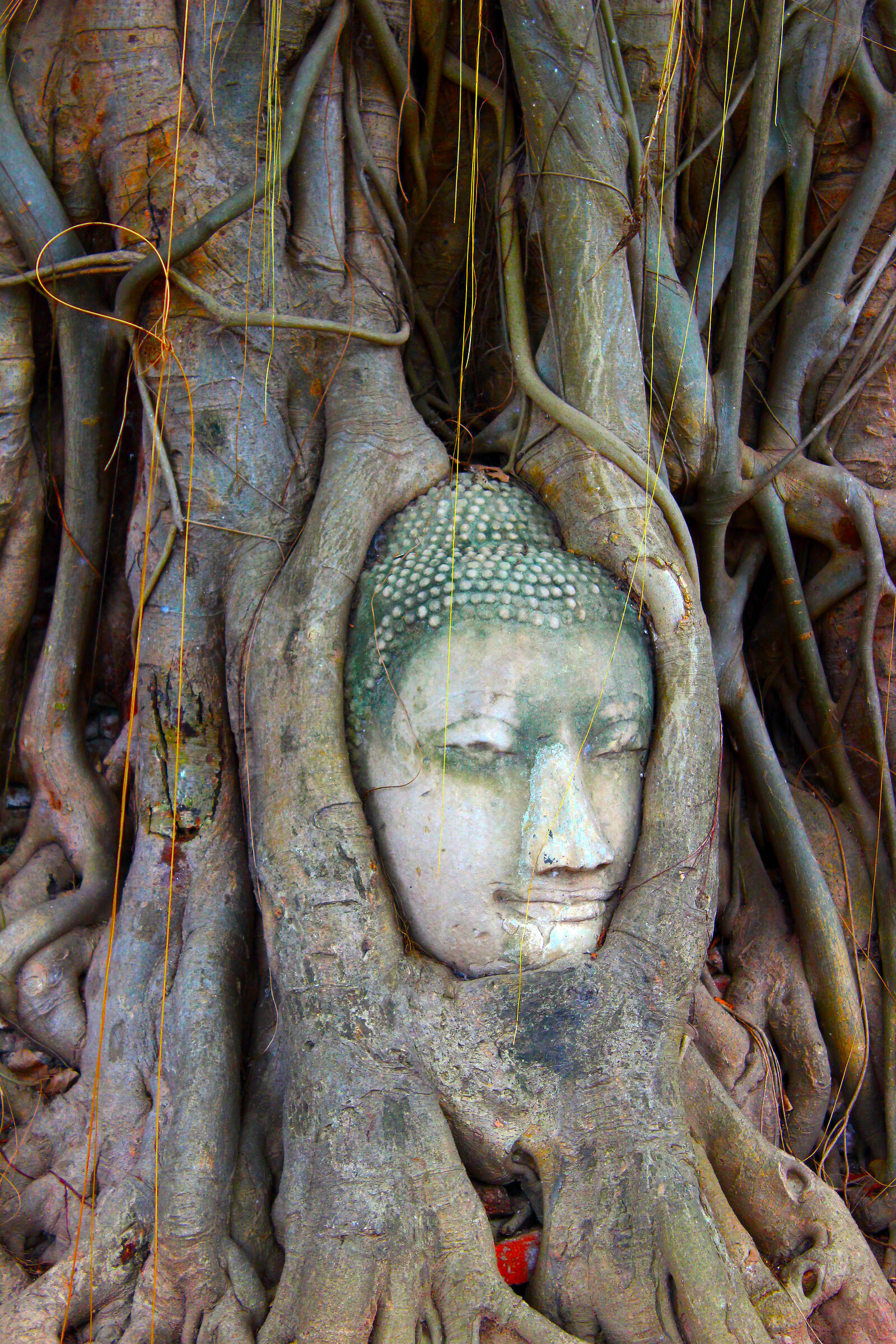 the enigmatic smile of buddha