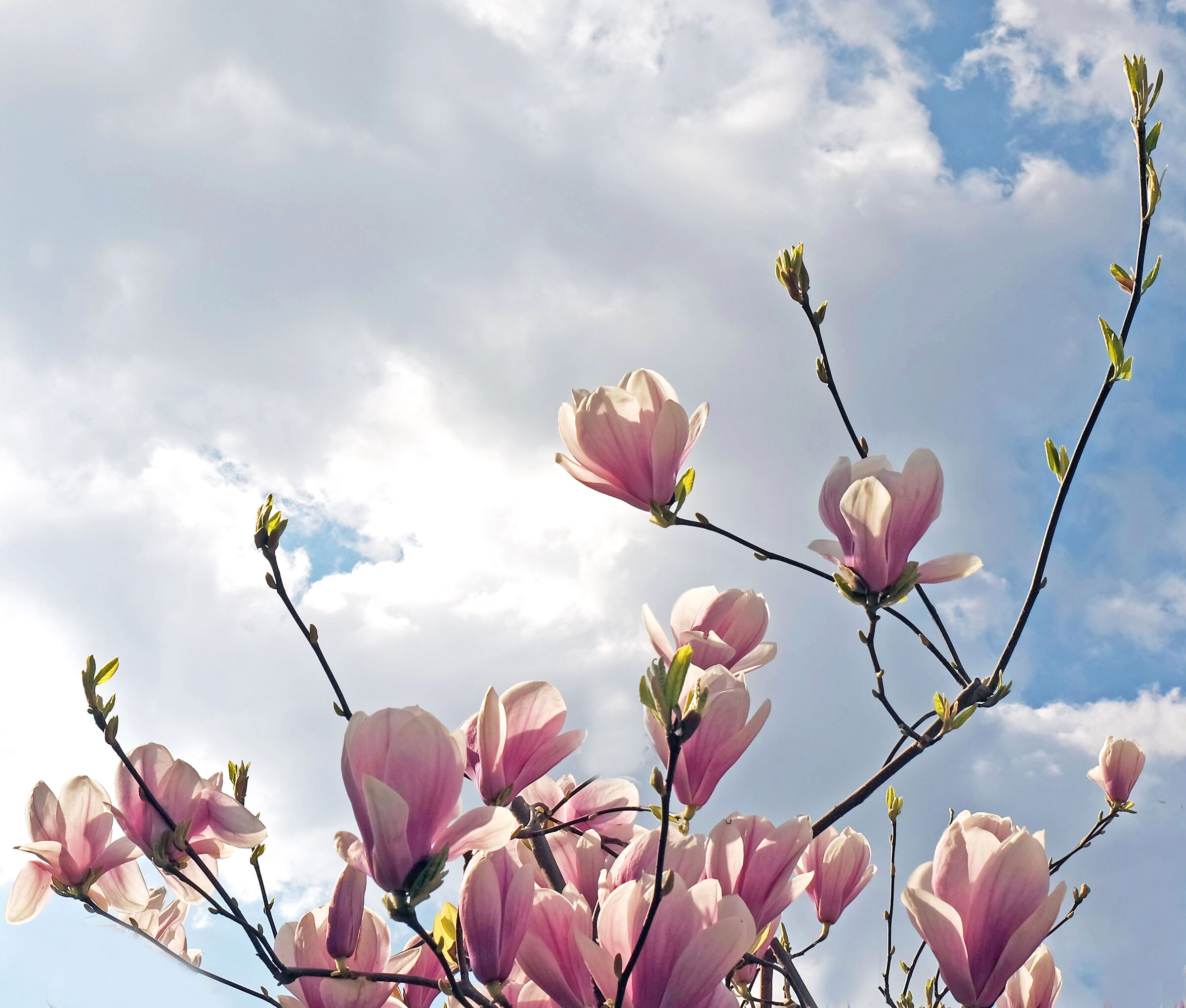 At the top of the glasses