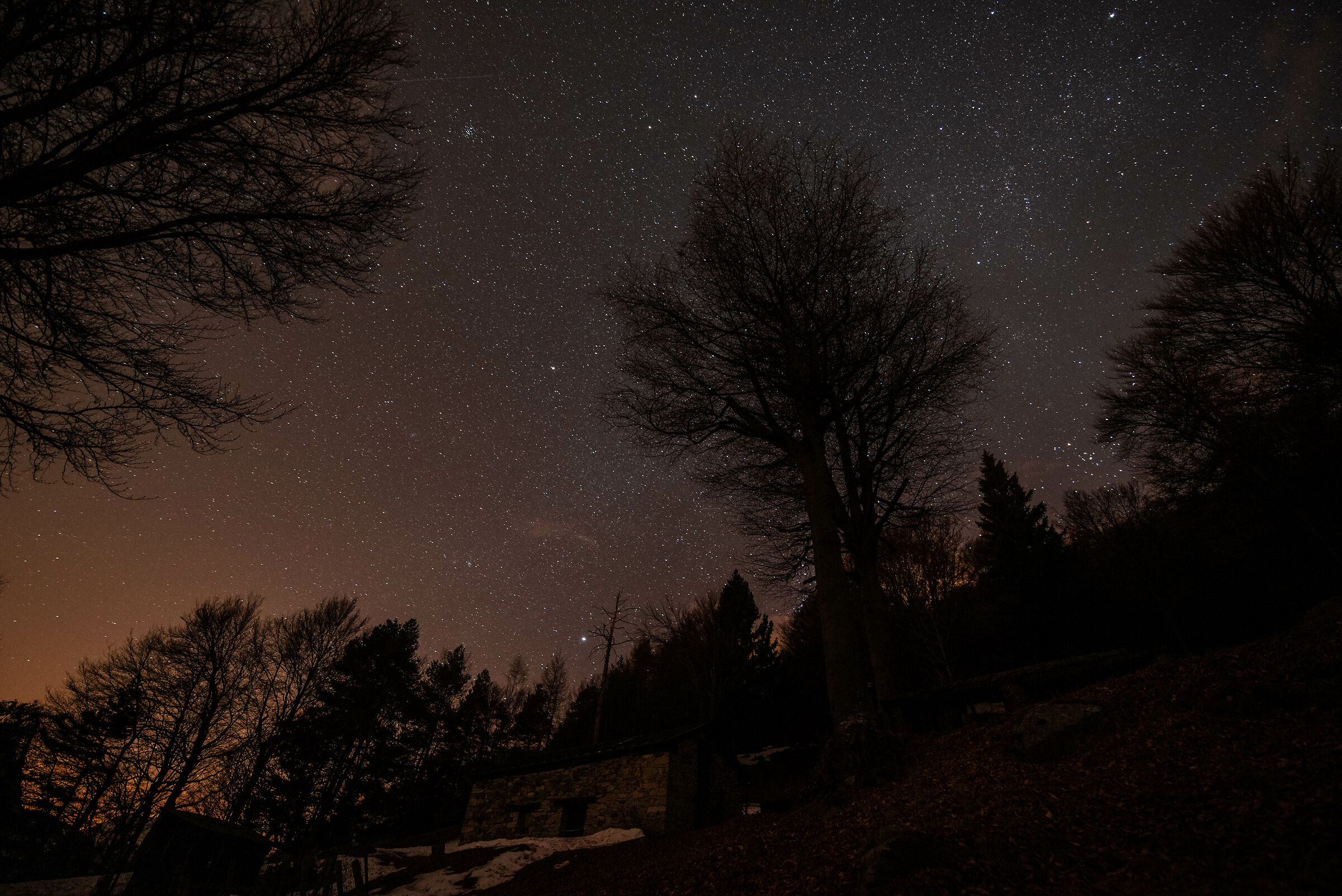 starry sky