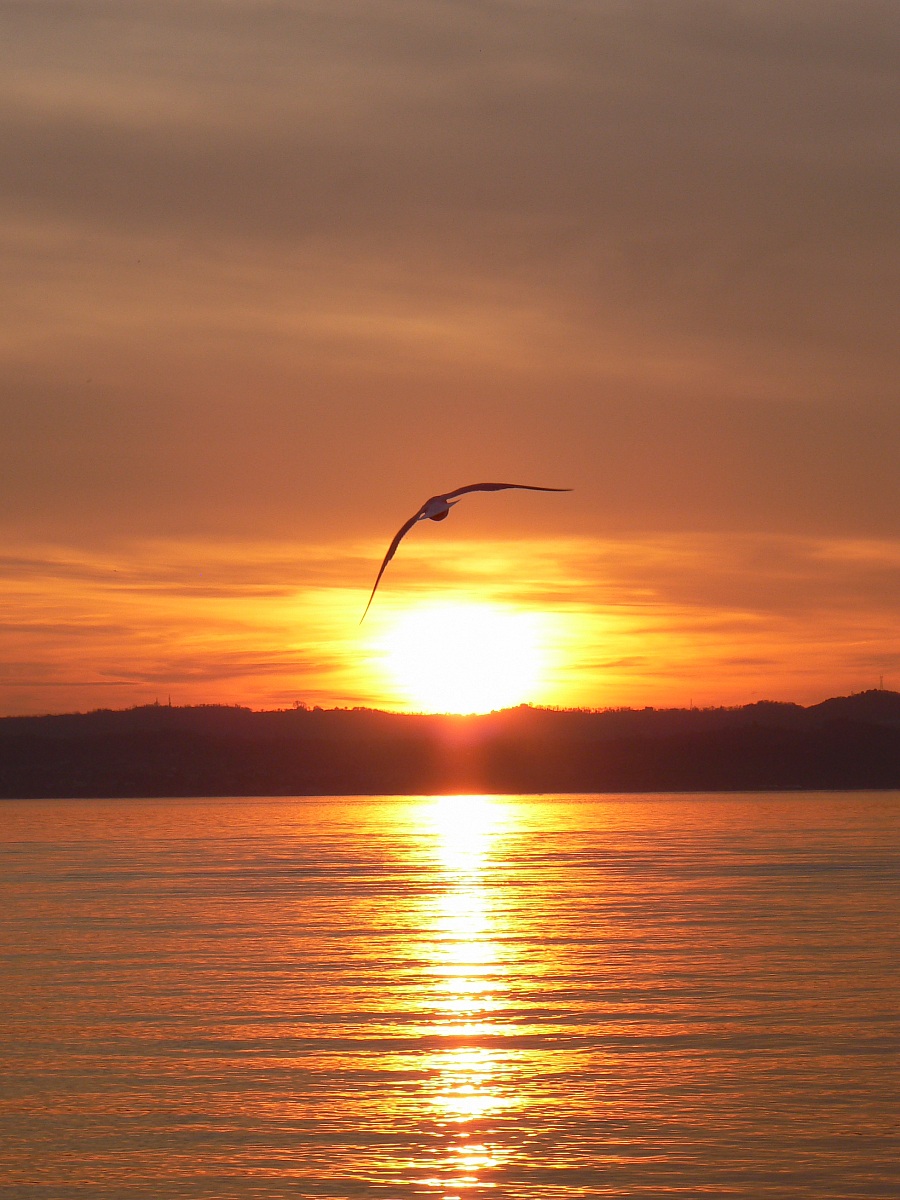 Tramonto a Sirmione...