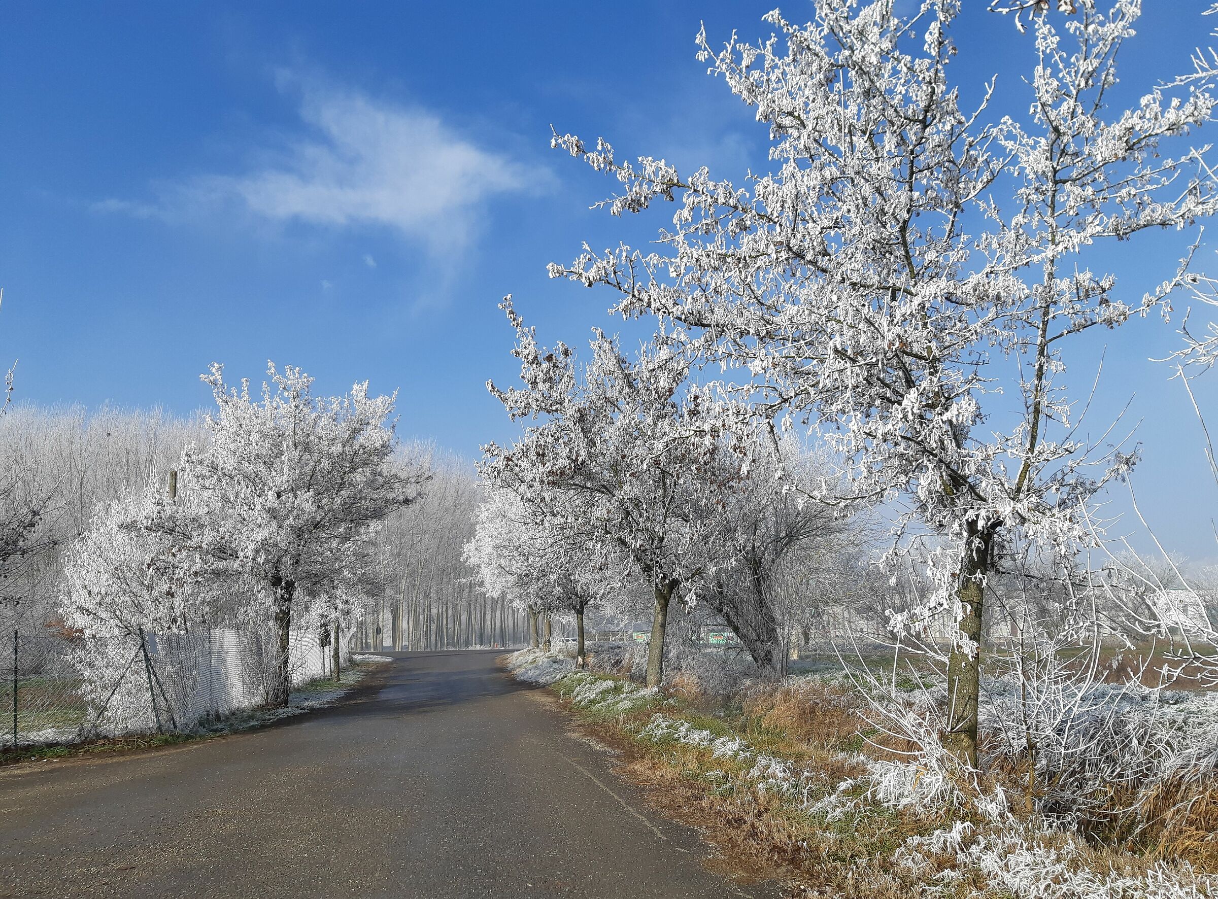 Sannazzaro de' Burgondi