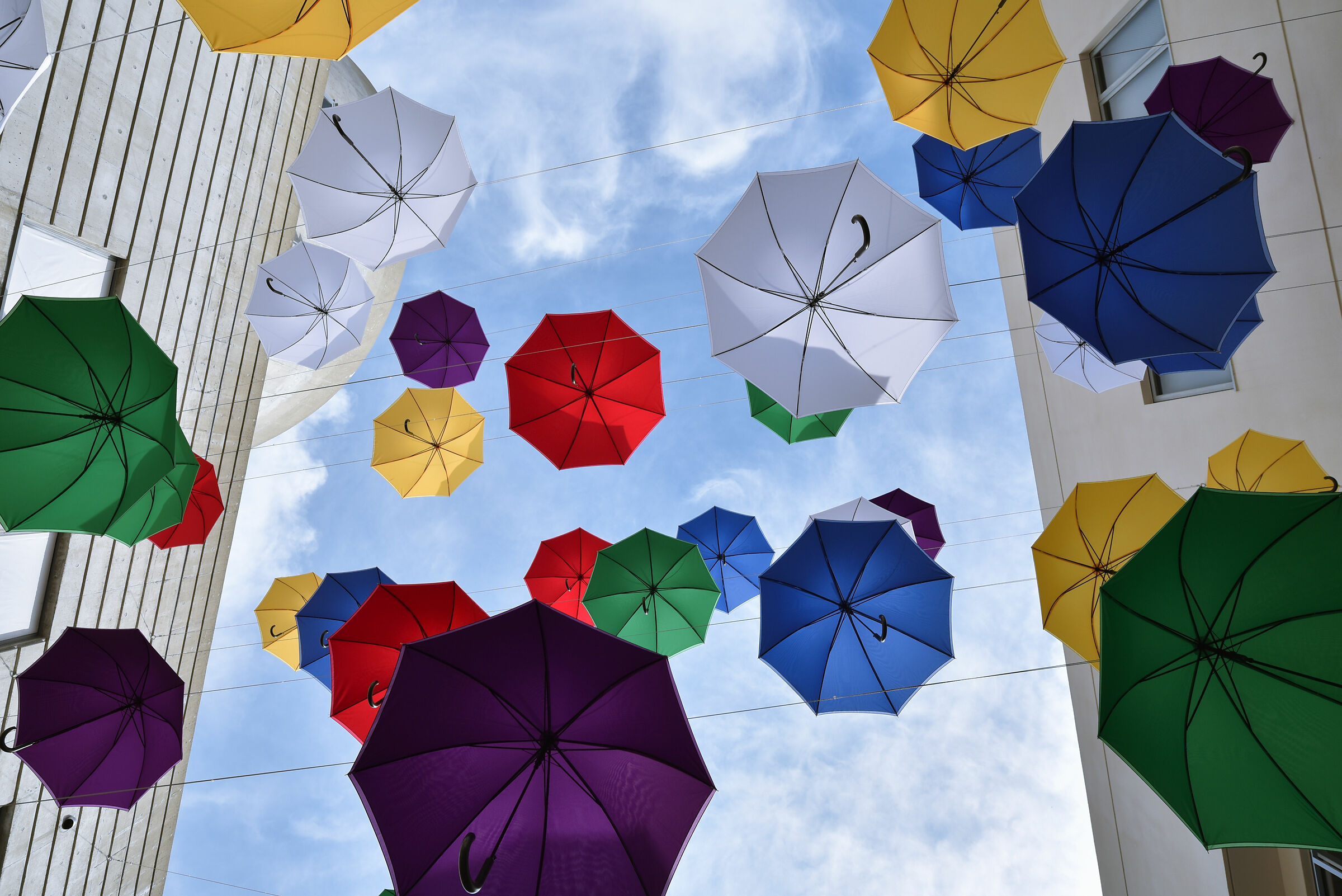 Umbrella Sky