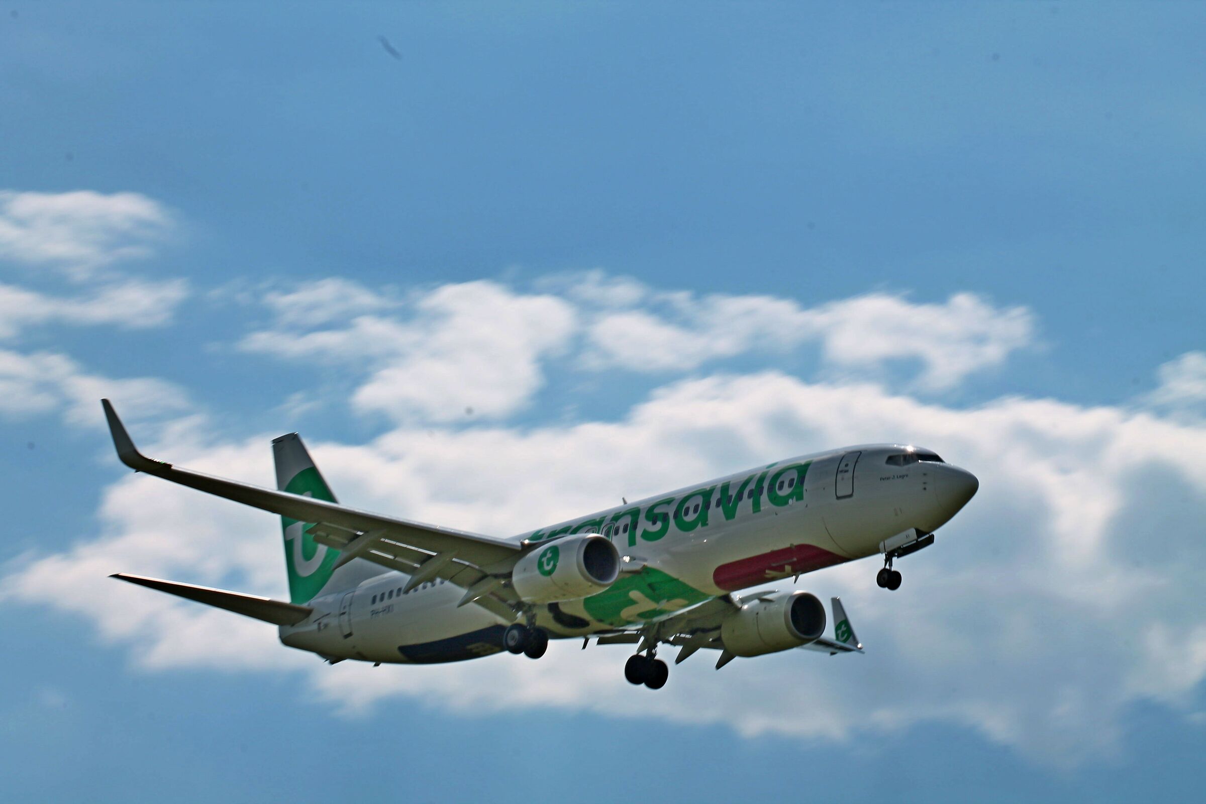 FROM THE ESTATE OF COLTANO PISA