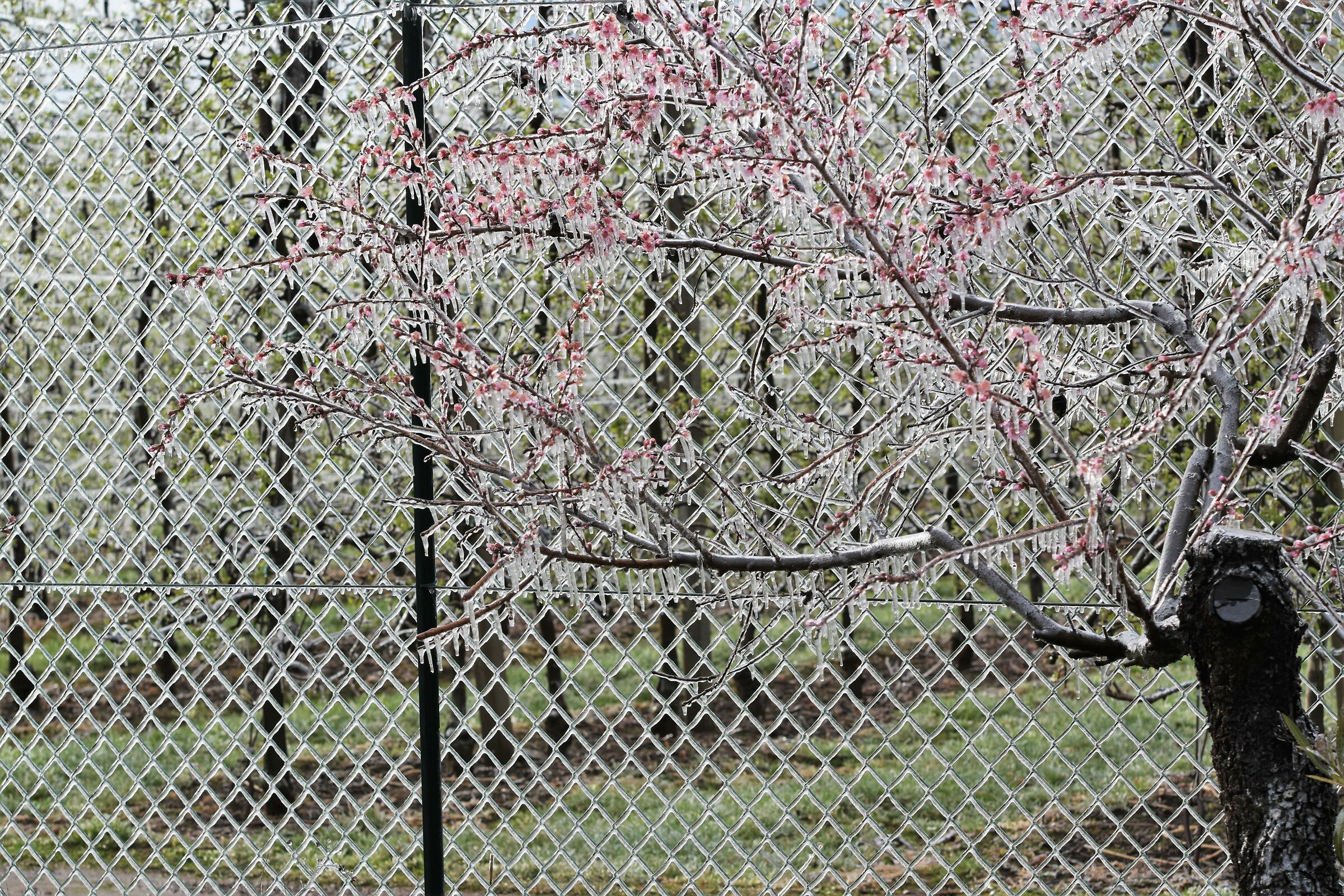 Thrilling Spring 4 the next level