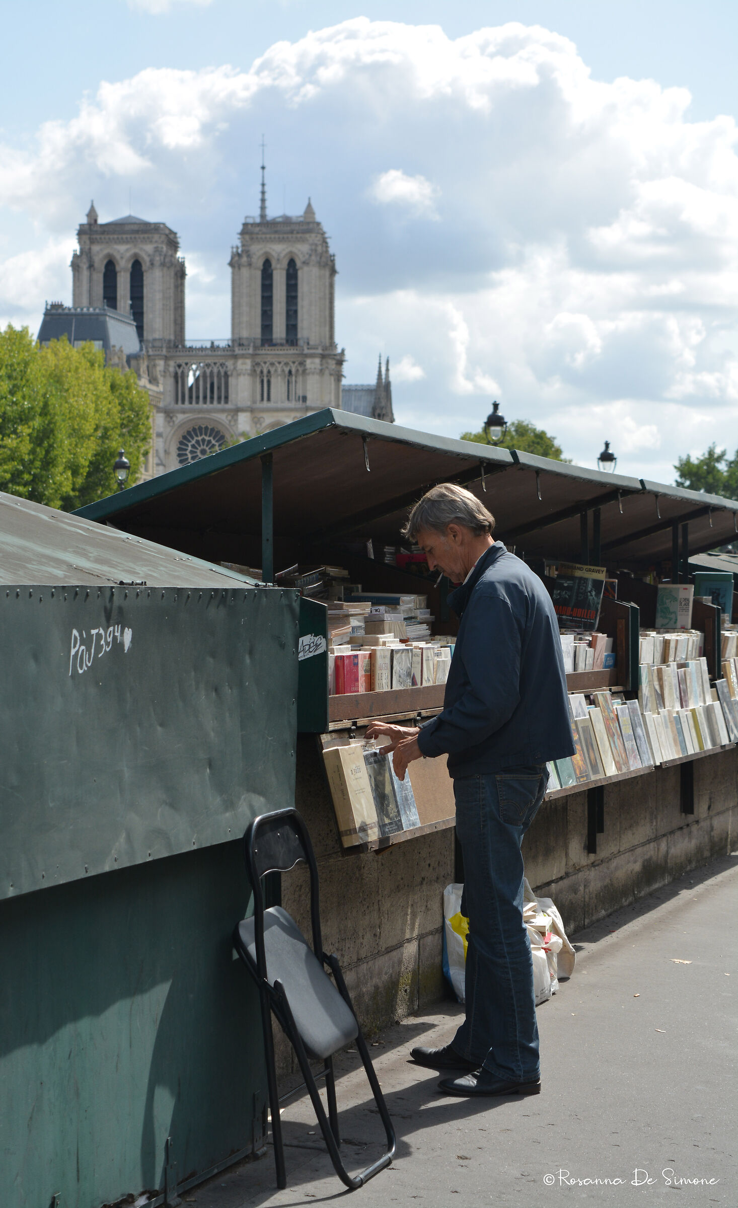The book seller on the Seine