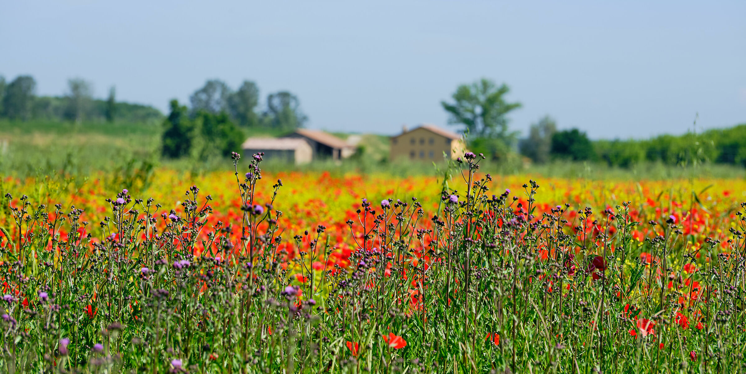 Sperando a tempi migliori.............................