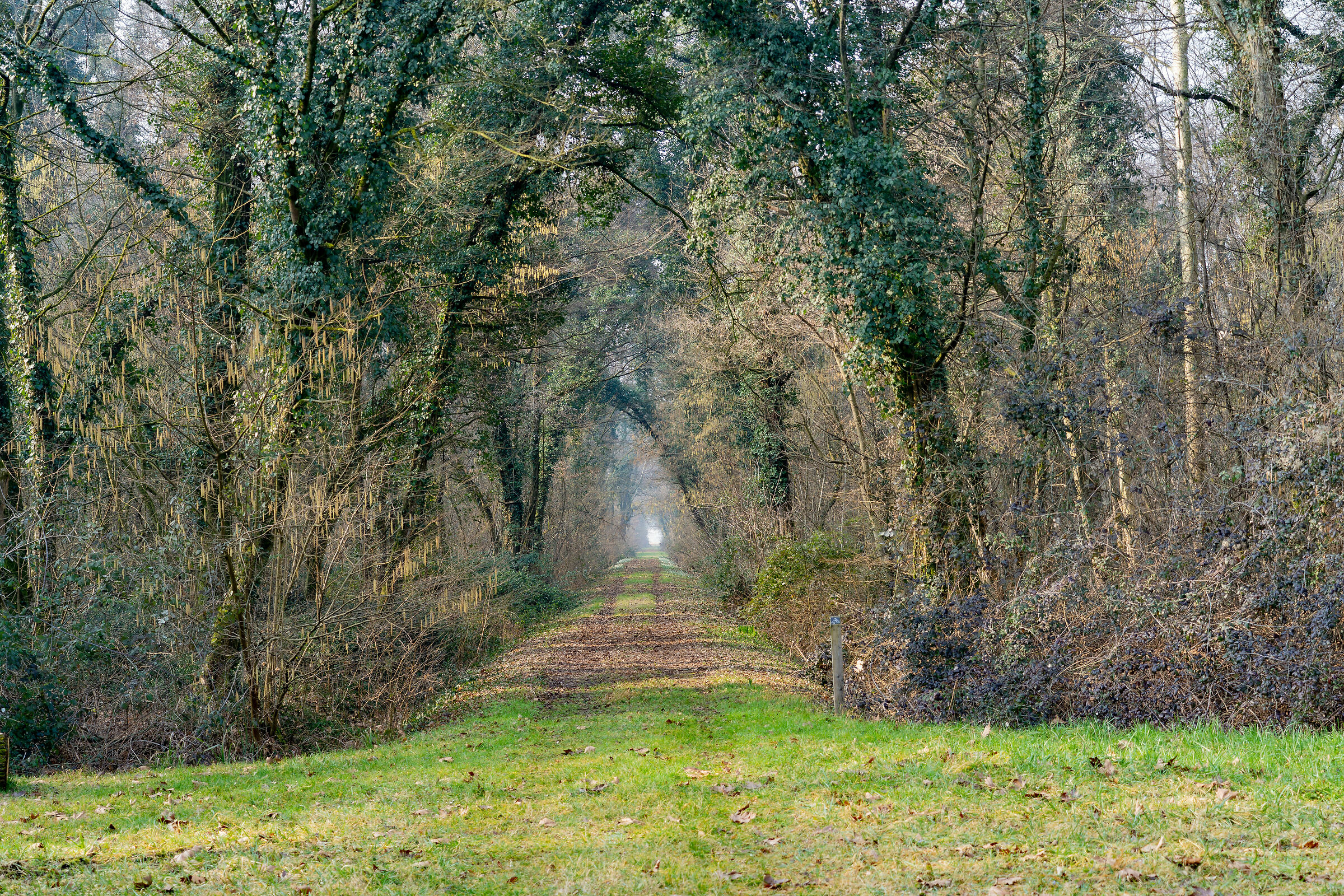 Parco Boscofontana MN