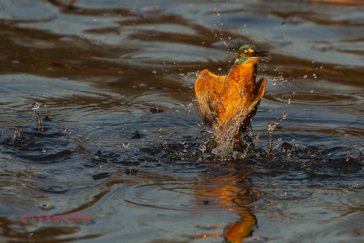 ... finalmente aria...