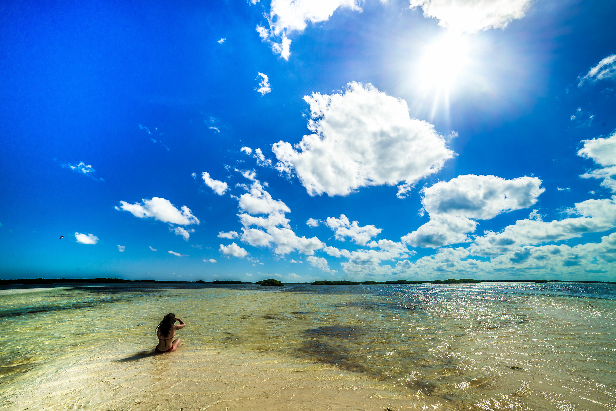 Sara and the Sun Bahia Ceviche