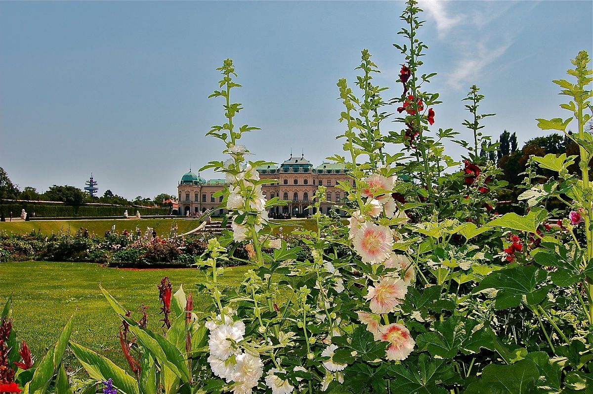 Vista sui giardini e Palazzo Belvedere - Vienna